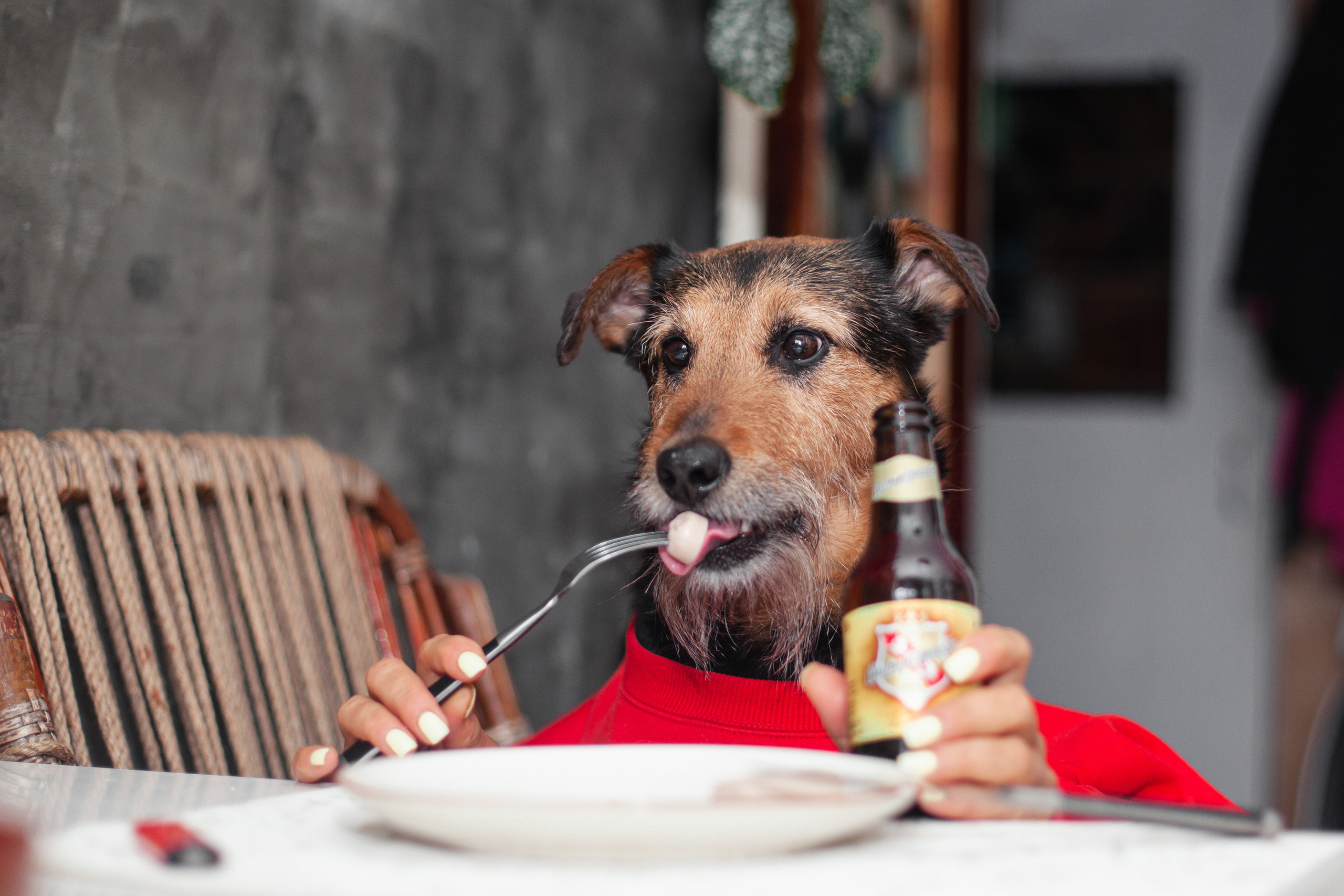 Лиза и Бренда. Фотограф-анималист Татьяна Степанова