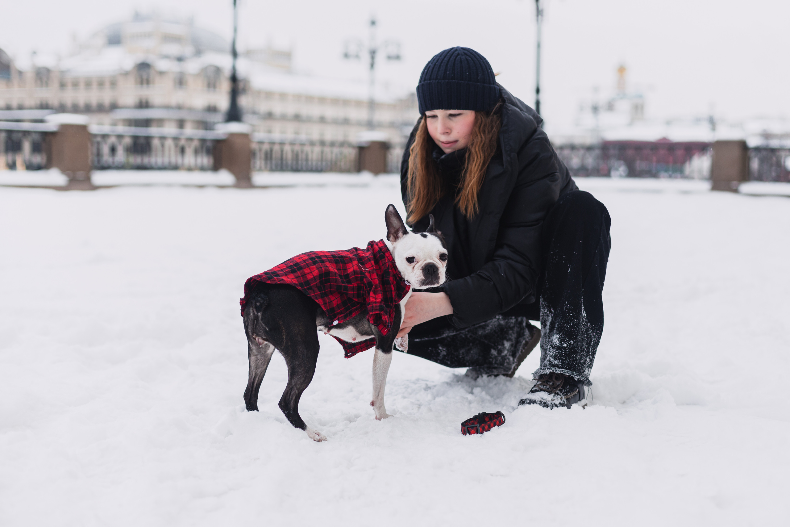 Василиса и Мира Кузнецкий мост. Фотограф-анималист Татьяна Степанова