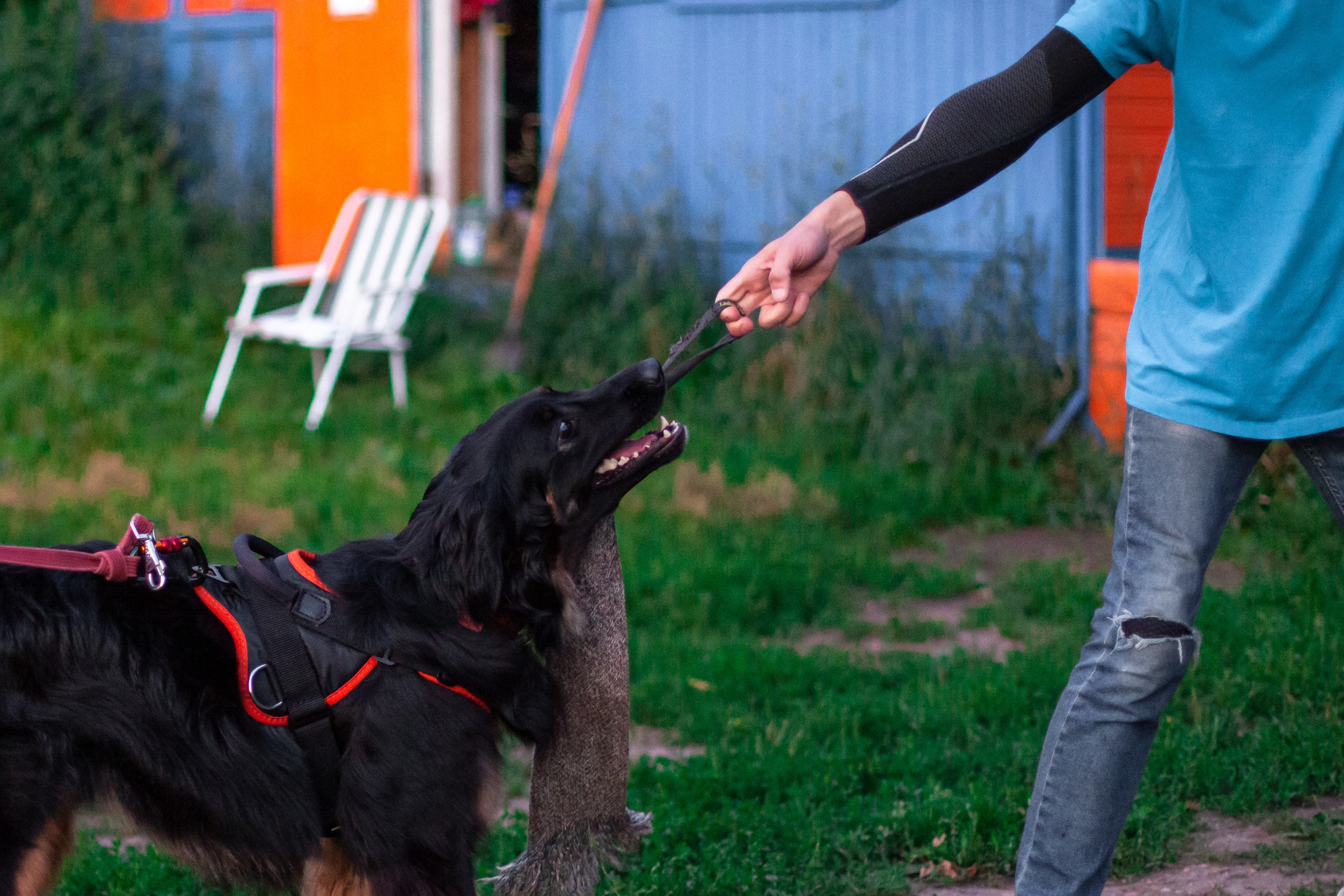 Занятие ЗКС+Выборка 2022. Фотограф-анималист Татьяна Степанова