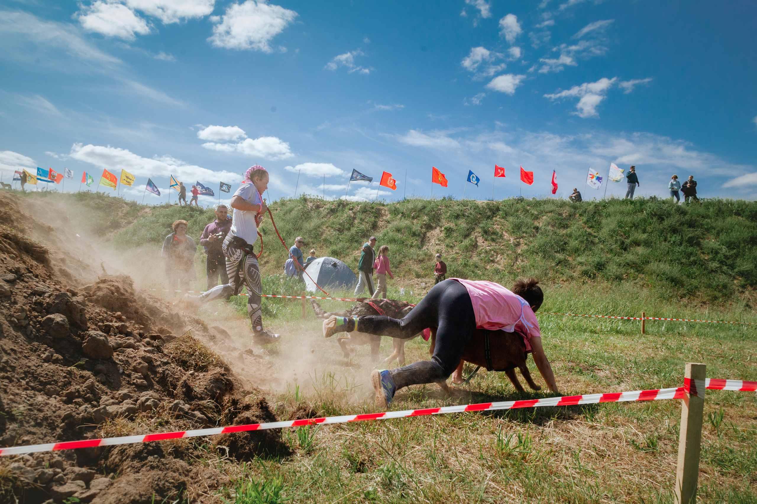 Хвостатый Драйв 11.06.2023. Фотограф-анималист Татьяна Степанова