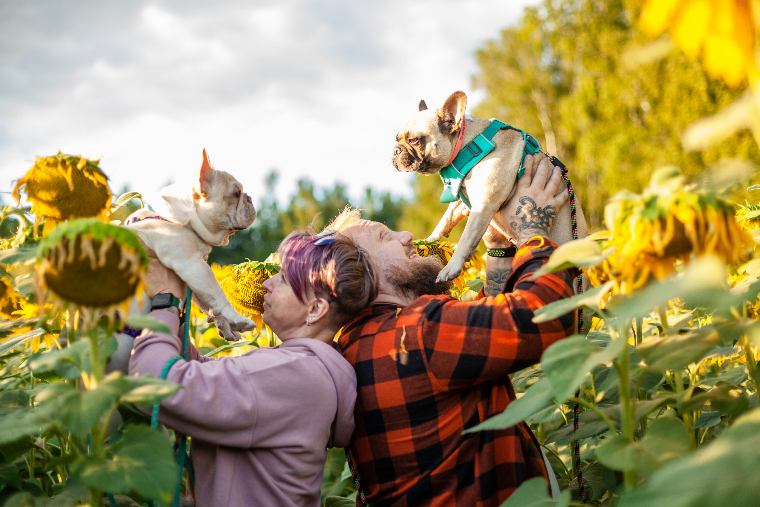 Коломна, стога и подсолнухи. Фотограф-анималист Татьяна Степанова
