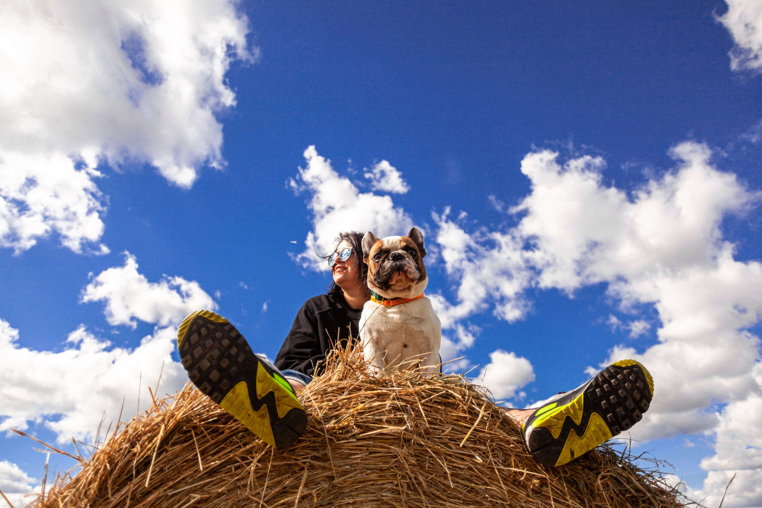 Коломна, стога и подсолнухи. Фотограф-анималист Татьяна Степанова