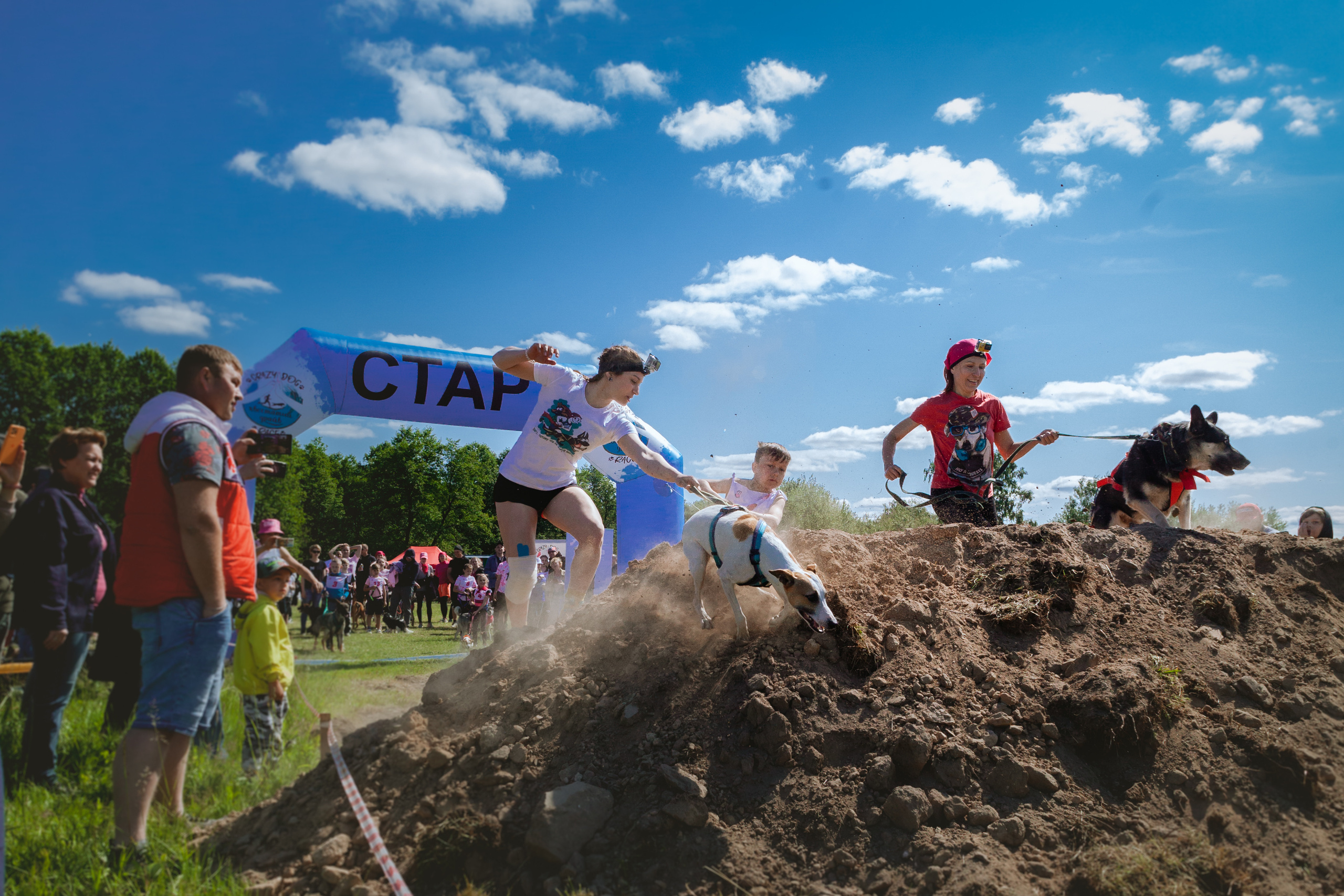 Хвостатый Драйв 11.06.2023. Фотограф-анималист Татьяна Степанова