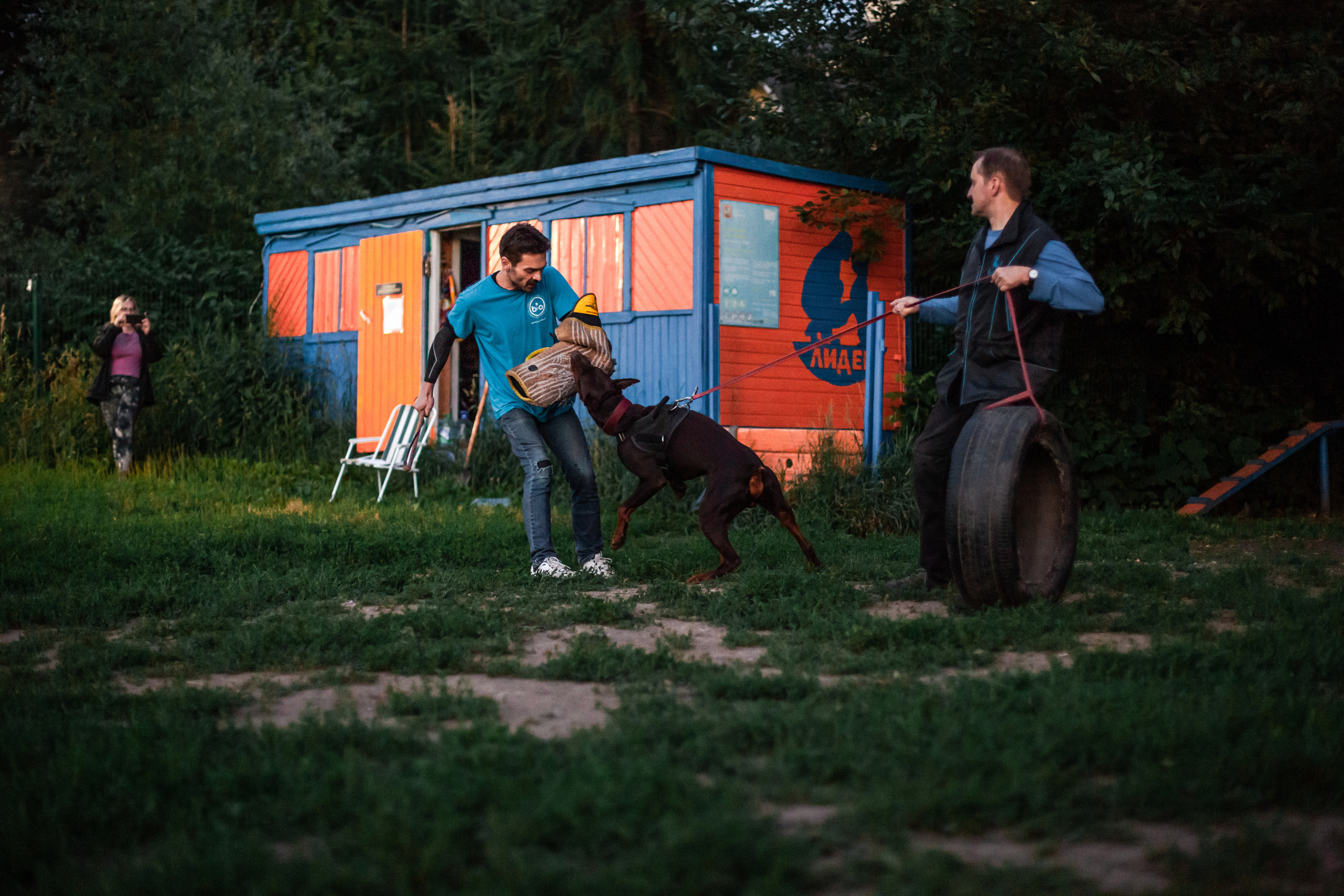 Занятие ЗКС+Выборка 2022. Фотограф-анималист Татьяна Степанова