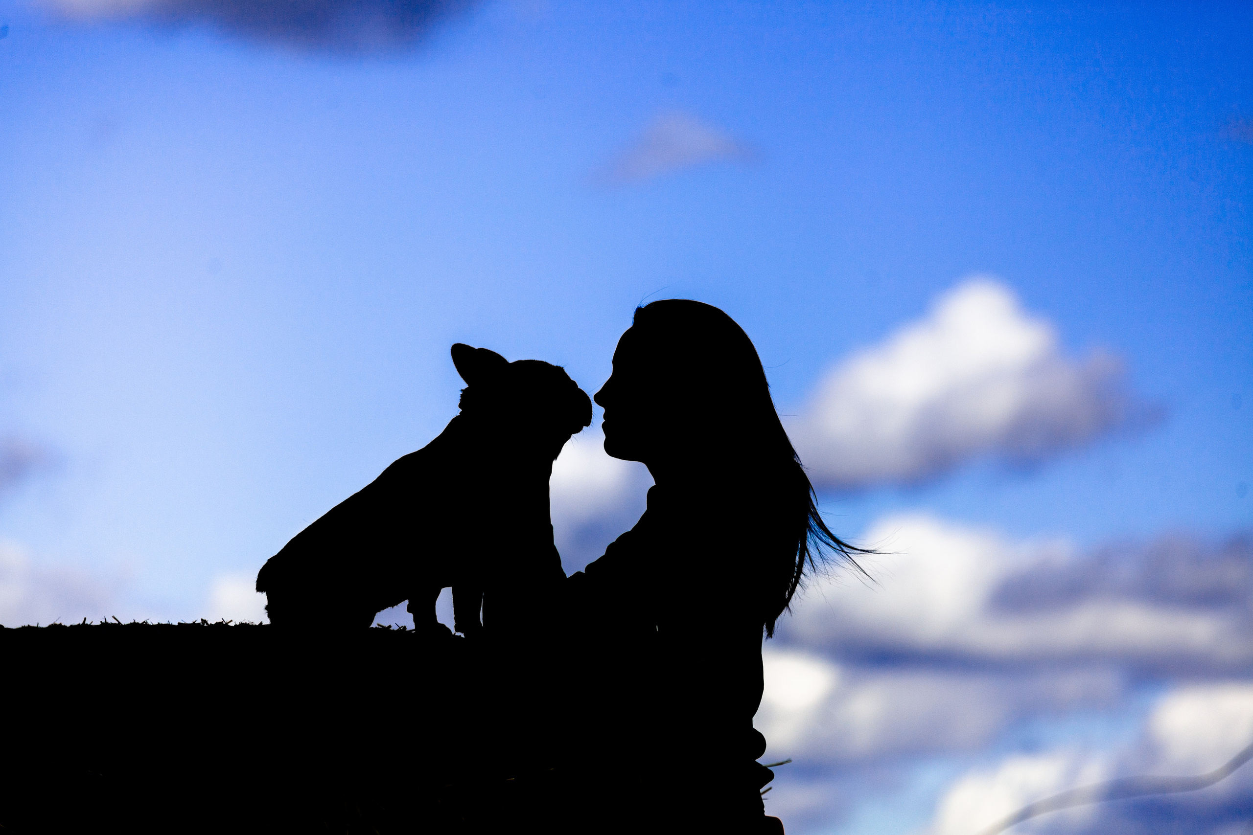 Коломна, стога и подсолнухи. Фотограф-анималист Татьяна Степанова