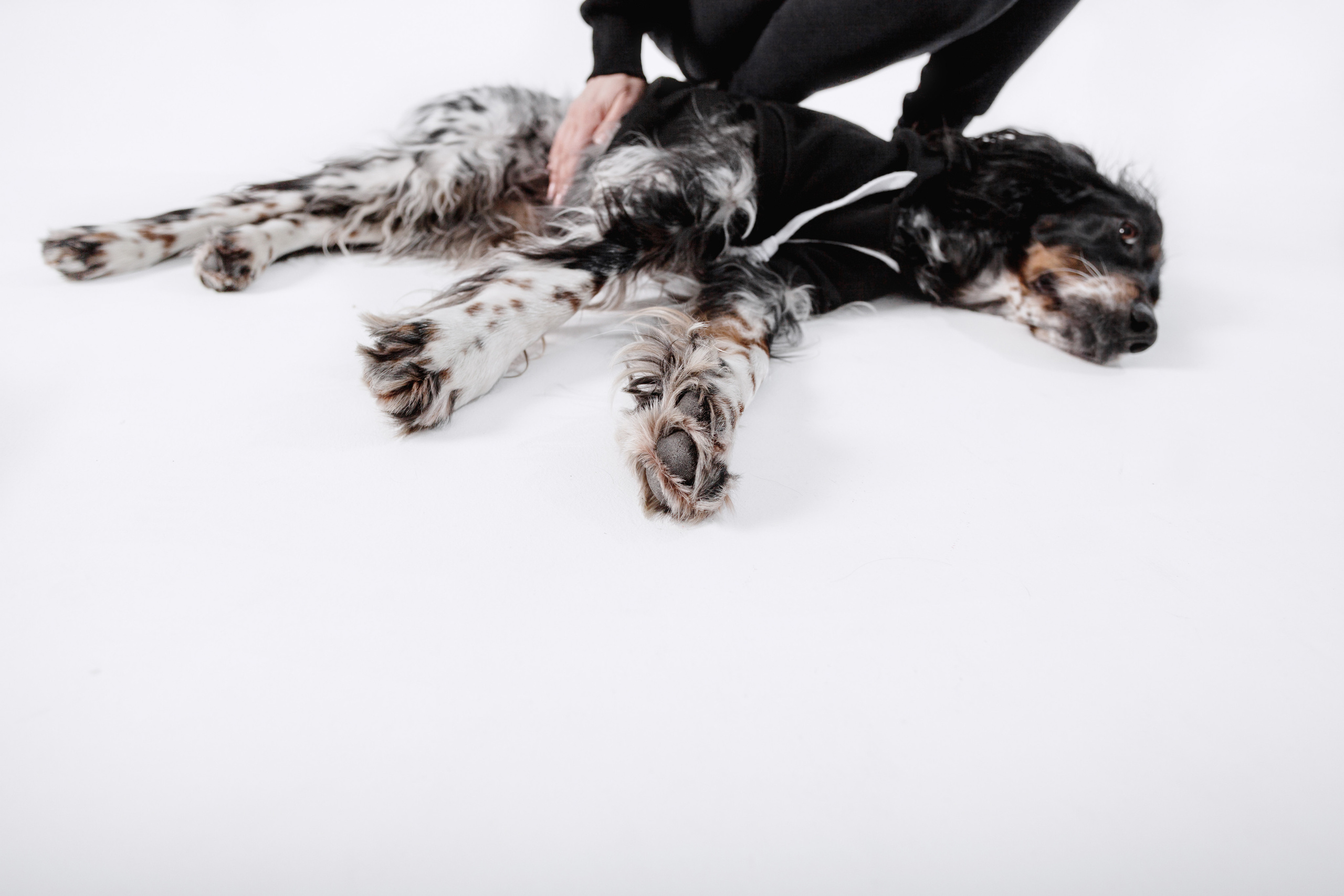 Света и Богдана. Фотограф-анималист Татьяна Степанова