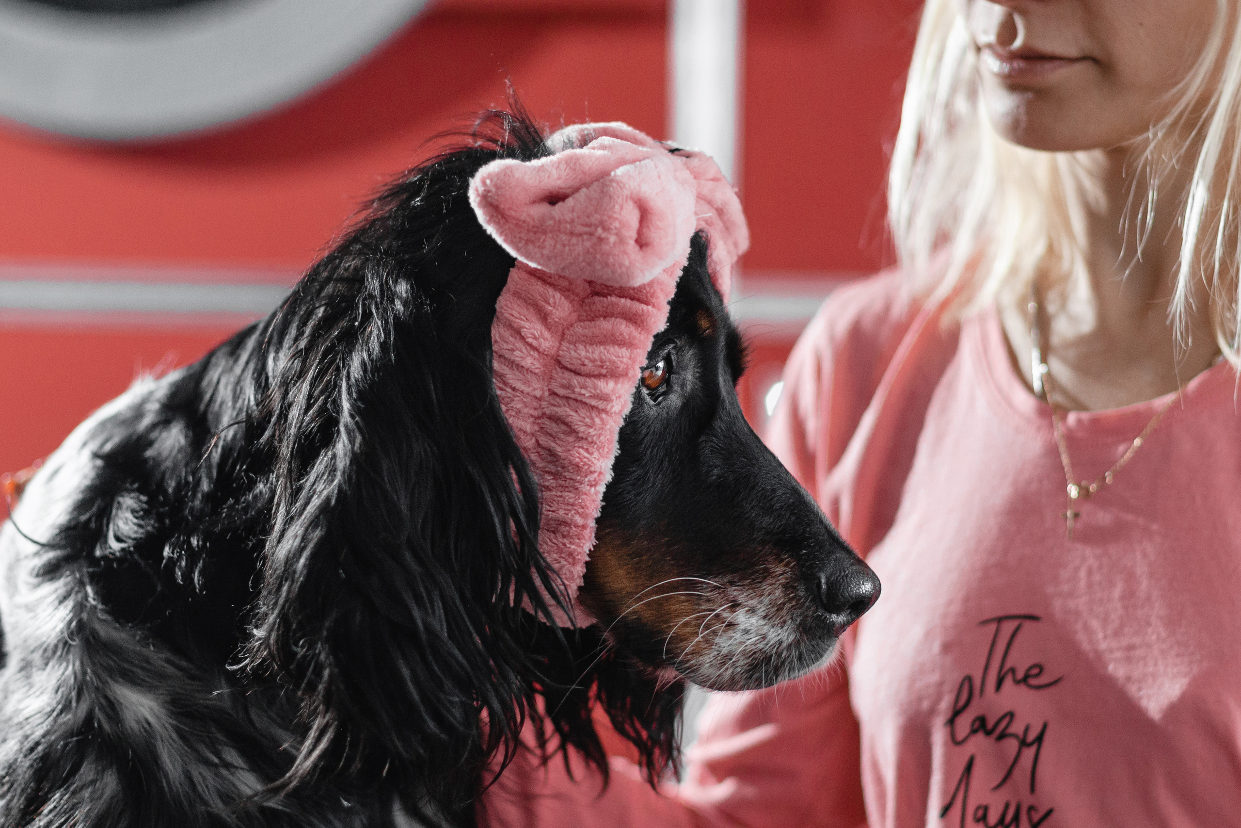 Света и Богдана. Фотограф-анималист Татьяна Степанова