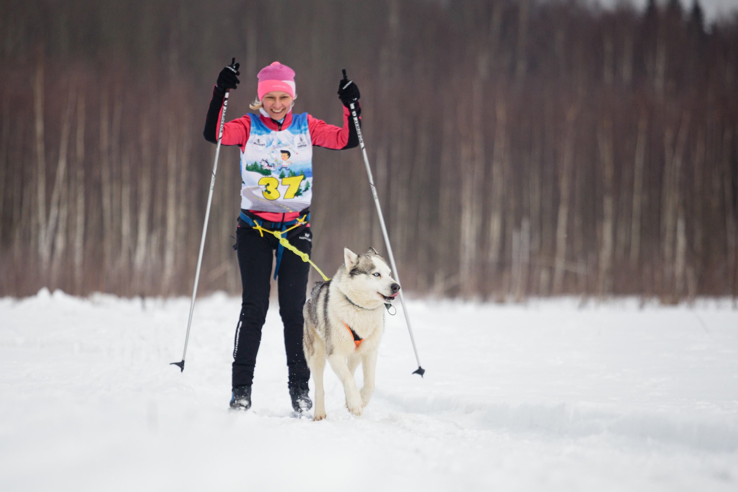 Холодные игры 28 февраля 2022. Фотограф-анималист Татьяна Степанова