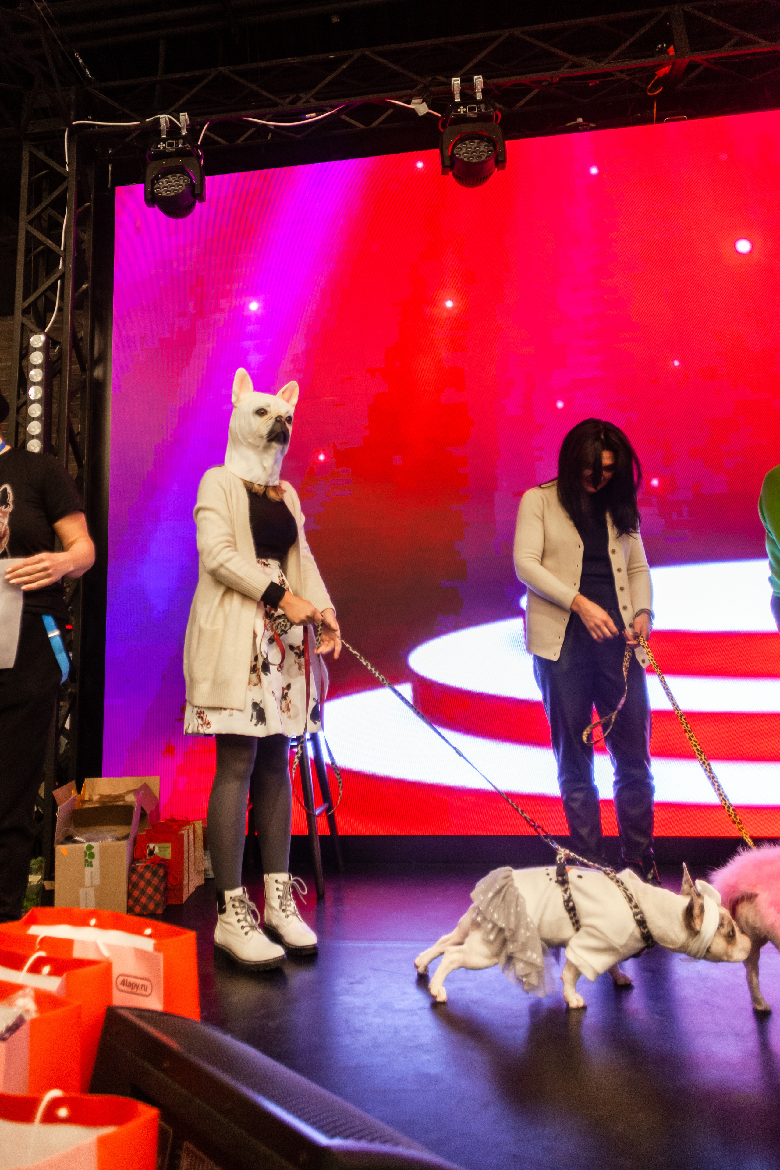 Бульелка 2022. Фотограф-анималист Татьяна Степанова