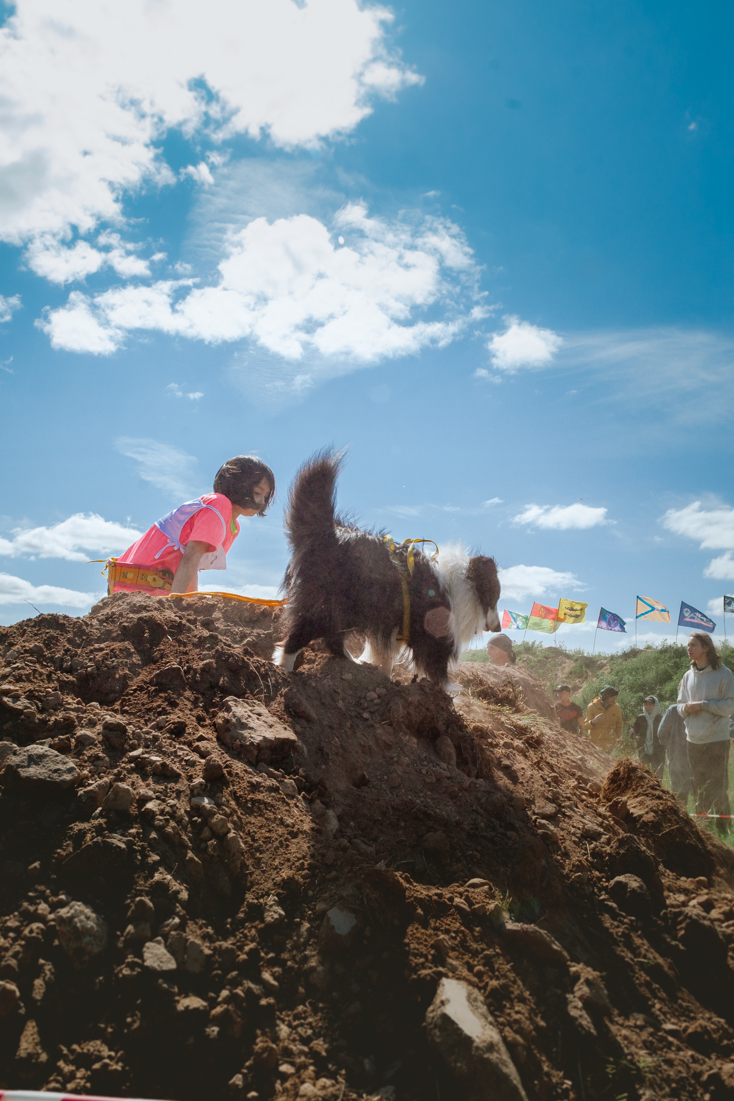 Хвостатый Драйв 11.06.2023. Фотограф-анималист Татьяна Степанова