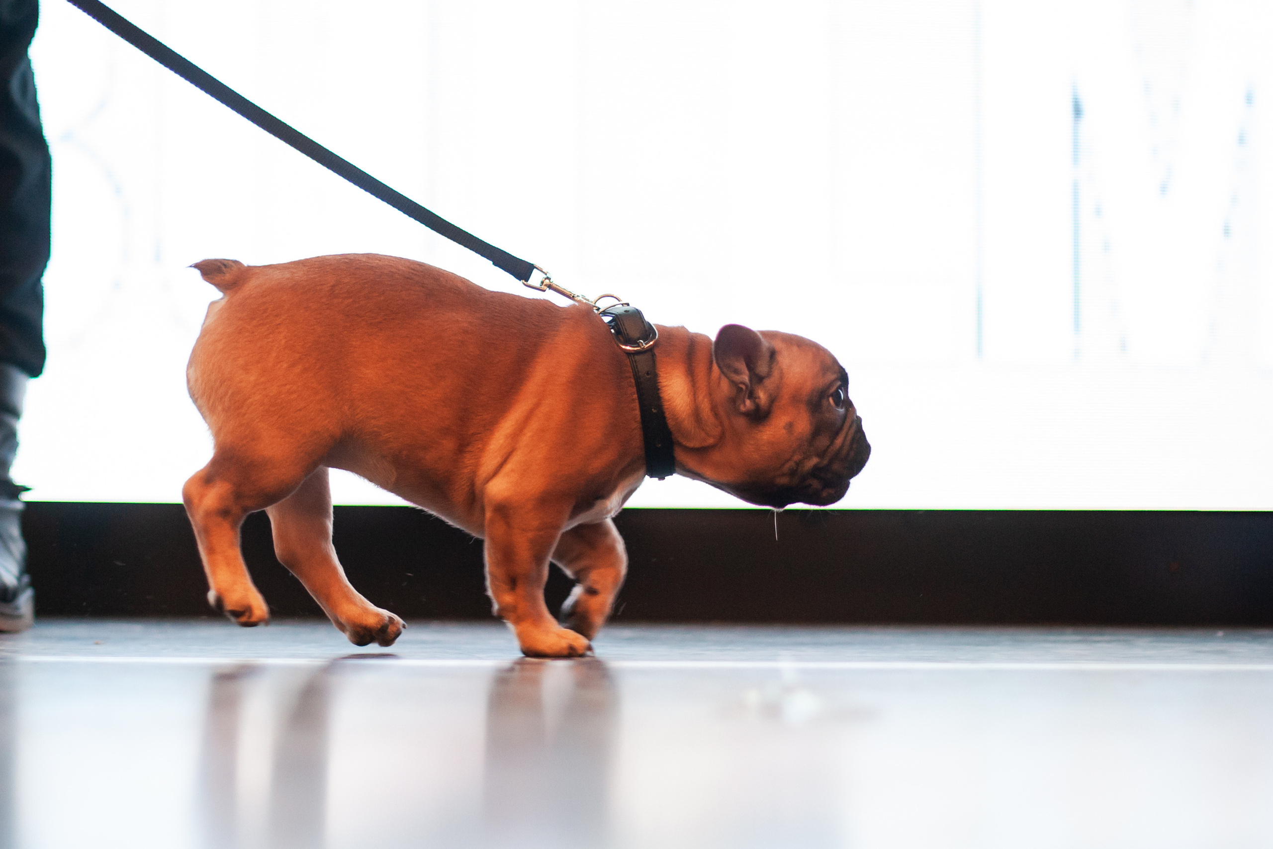 Бульелка 2022. Фотограф-анималист Татьяна Степанова