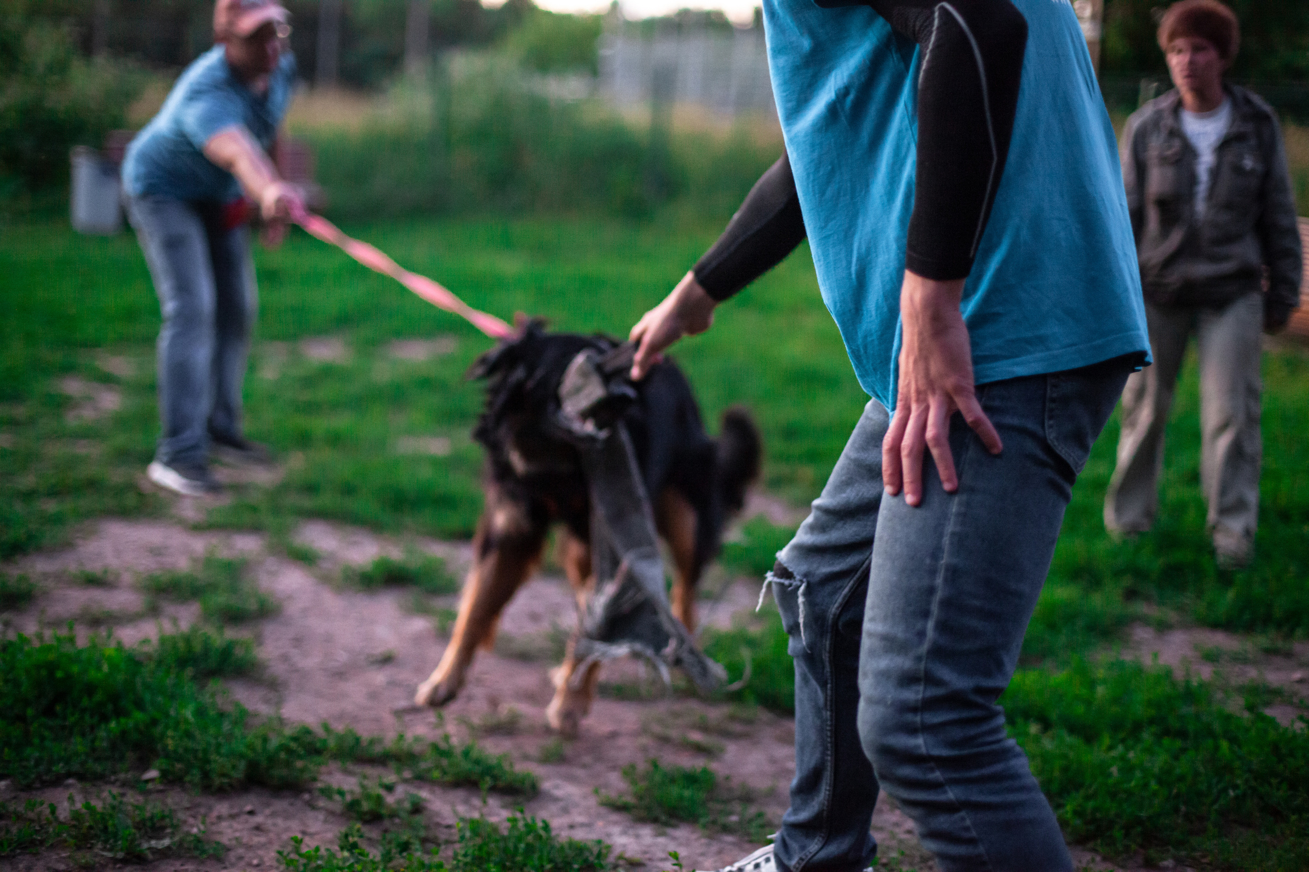Занятие ЗКС+Выборка 2022. Фотограф-анималист Татьяна Степанова