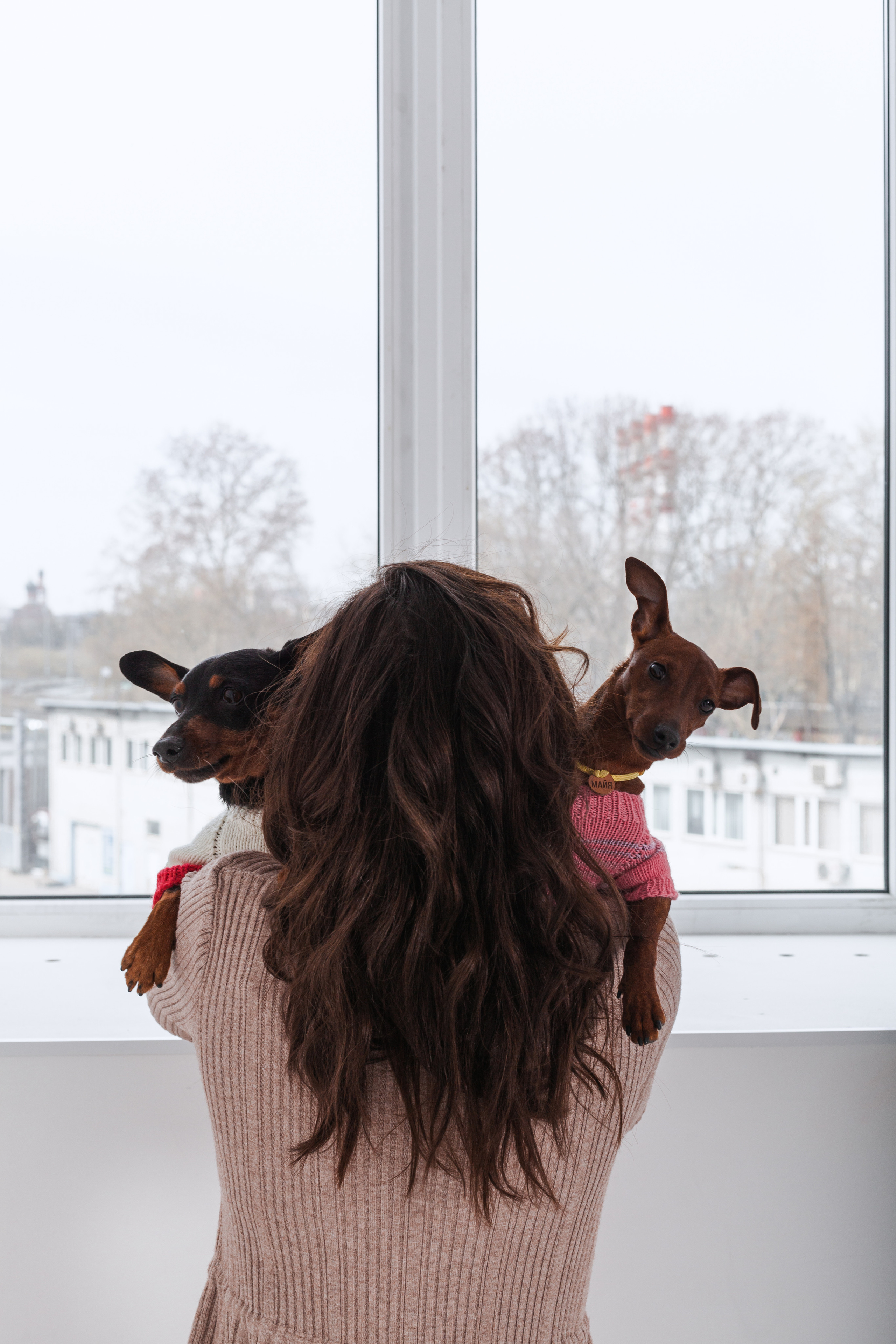 Александра и пинчеры Майя и Джой. Фотограф-анималист Татьяна Степанова