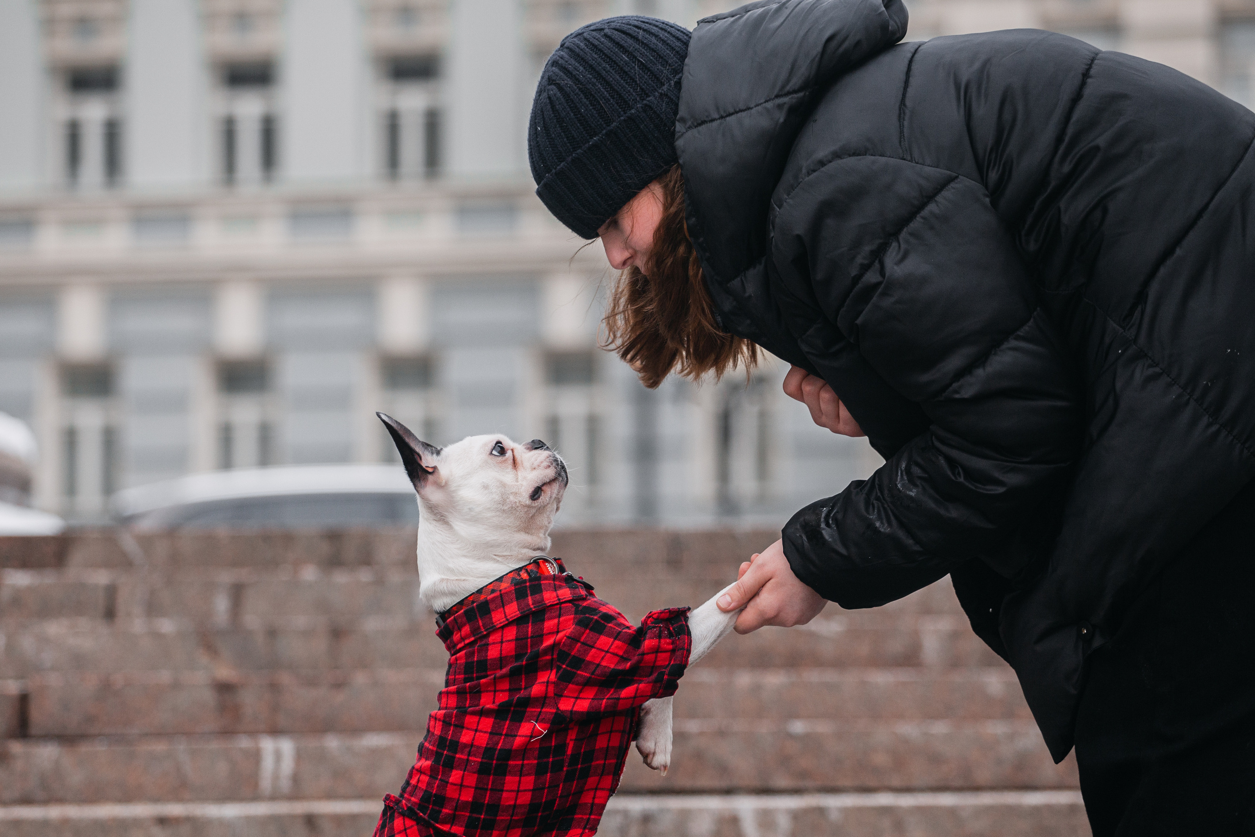 Василиса и Мира Кузнецкий мост. Фотограф-анималист Татьяна Степанова