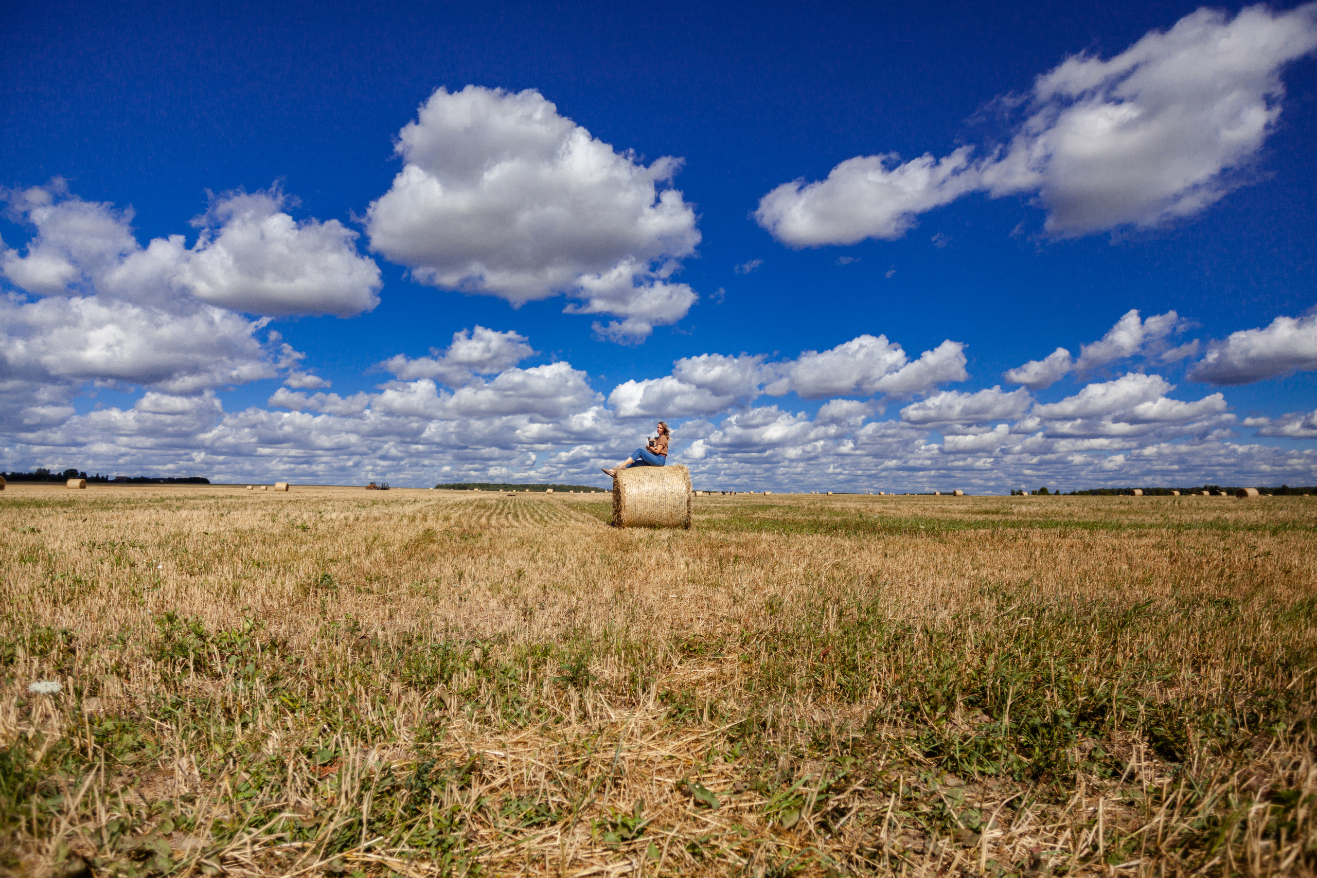 Коломна, стога и подсолнухи. Фотограф-анималист Татьяна Степанова
