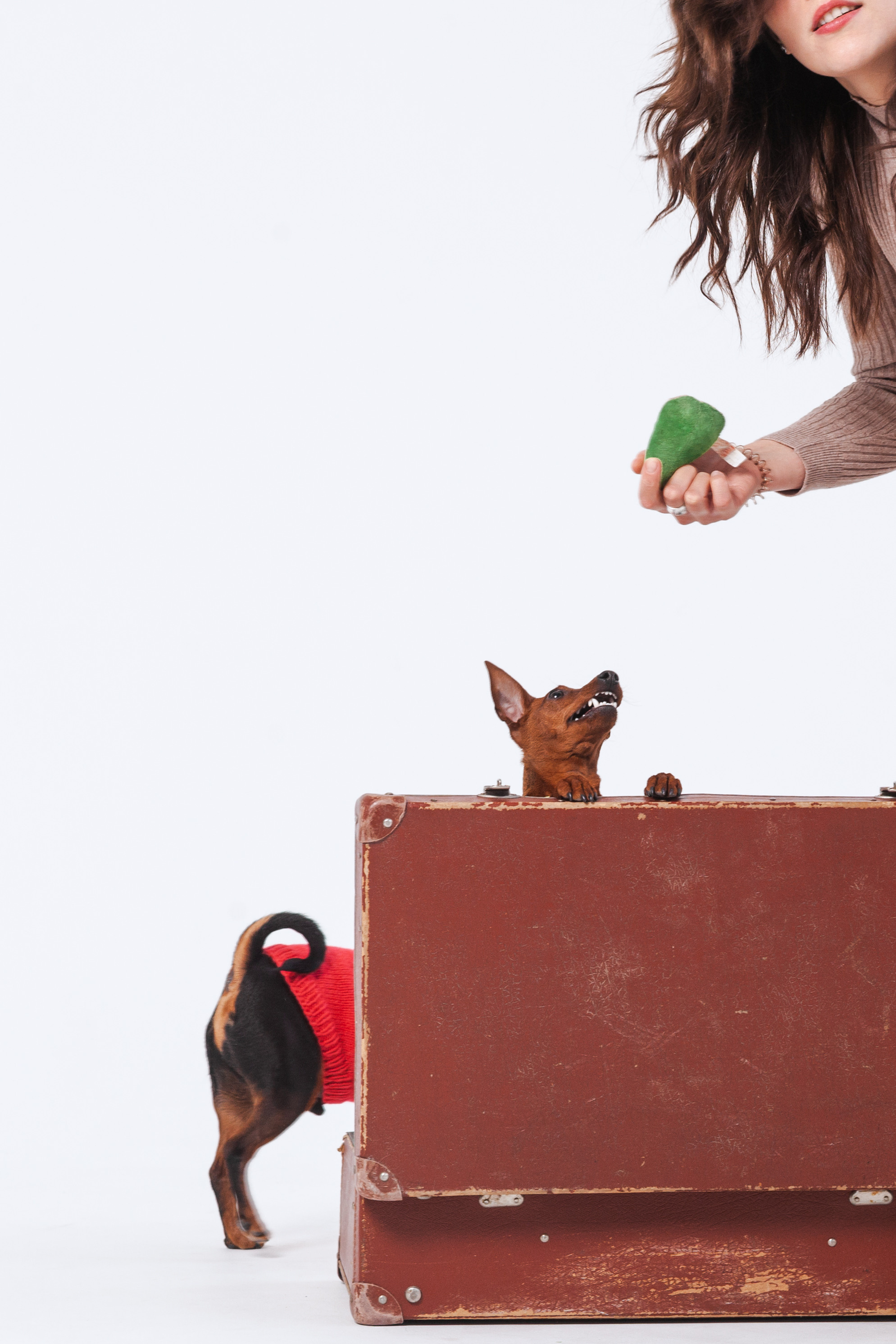 Александра и пинчеры Майя и Джой. Фотограф-анималист Татьяна Степанова
