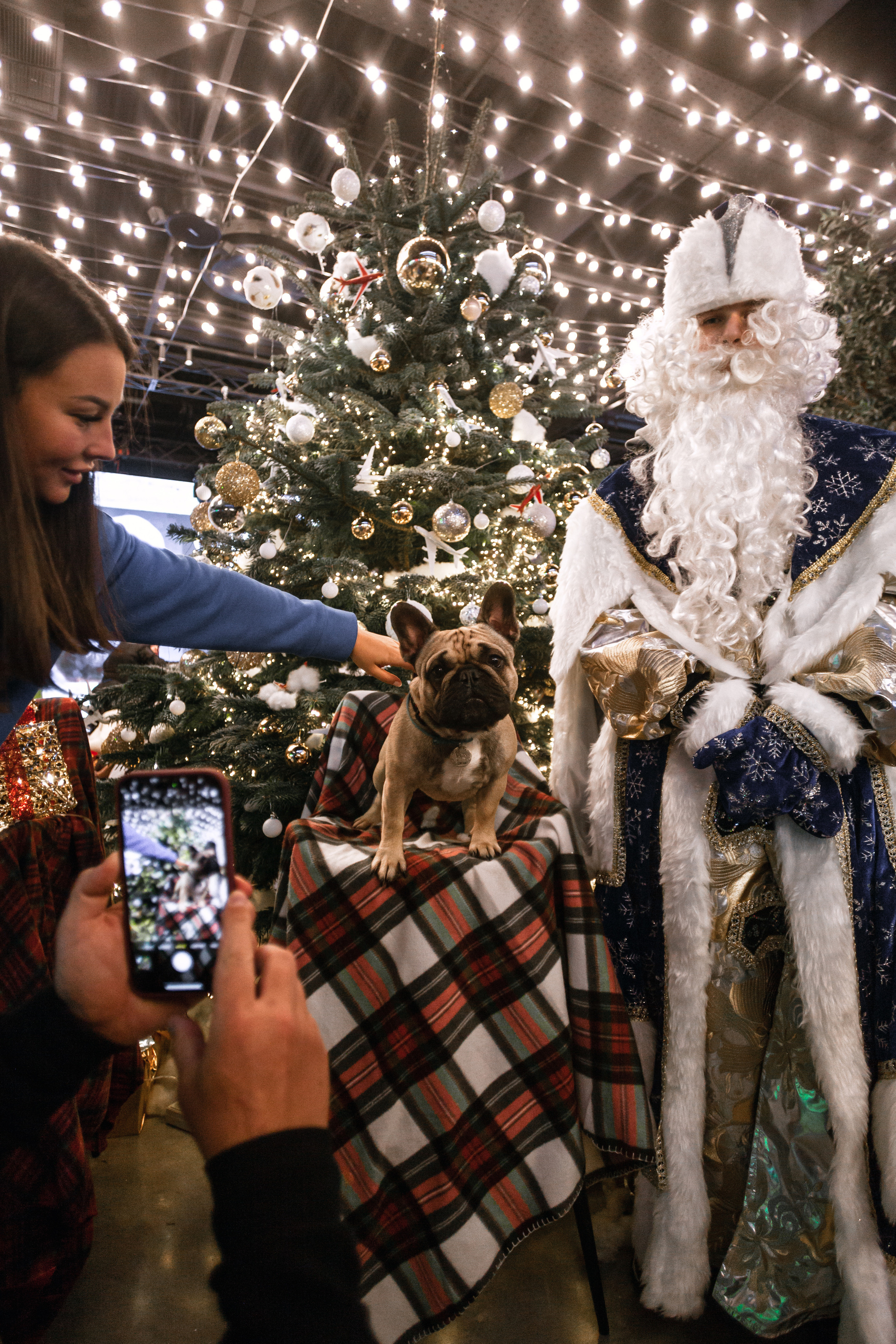 Бульелка 2022. Фотограф-анималист Татьяна Степанова