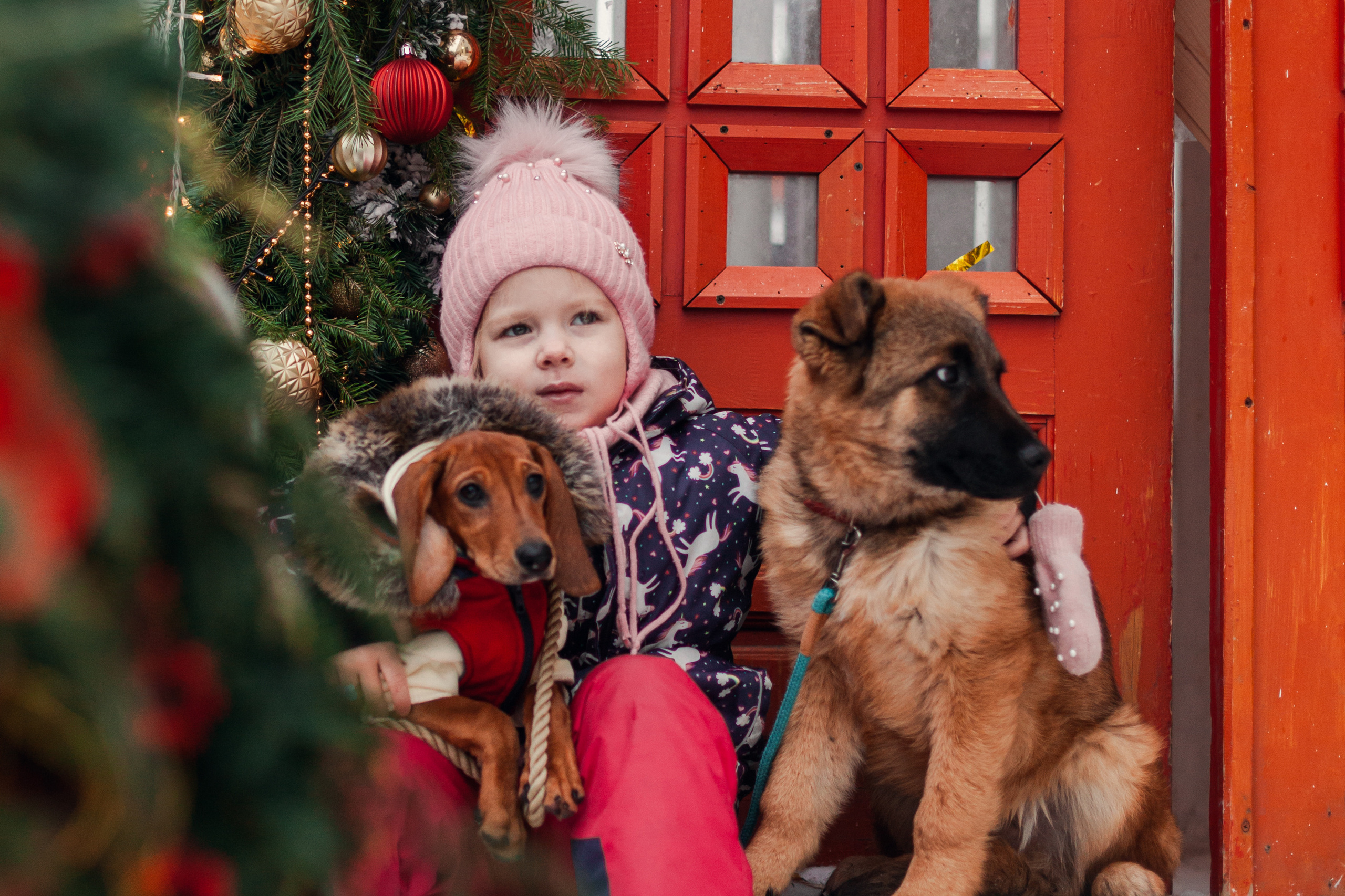 Новогодняя серия с ретромашиной. Фотограф-анималист Татьяна Степанова