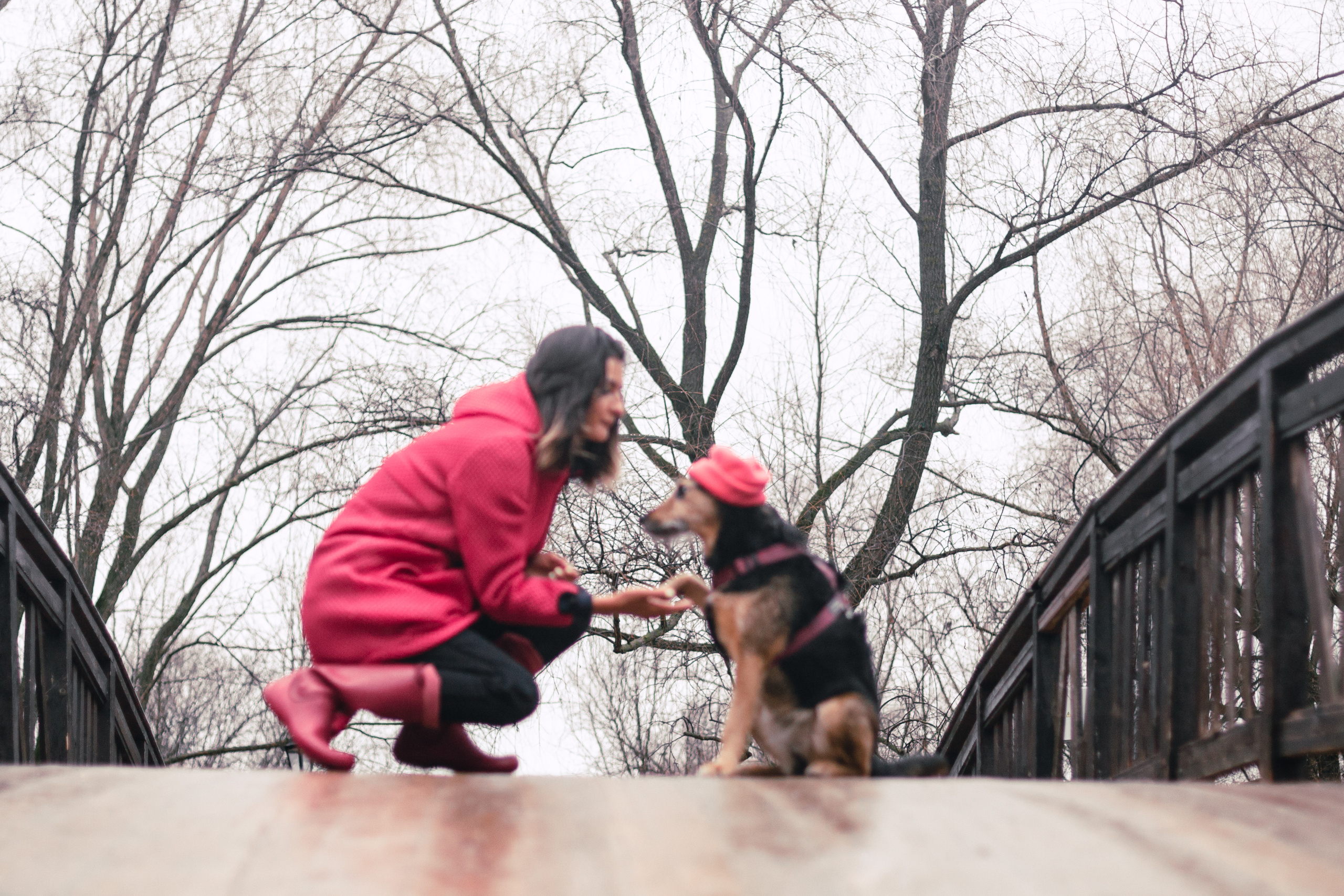 Лиза и Бренда. Фотограф-анималист Татьяна Степанова