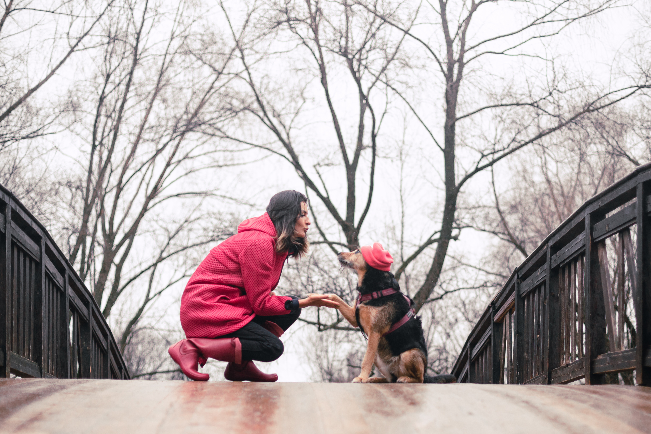 Лиза и Бренда. Фотограф-анималист Татьяна Степанова
