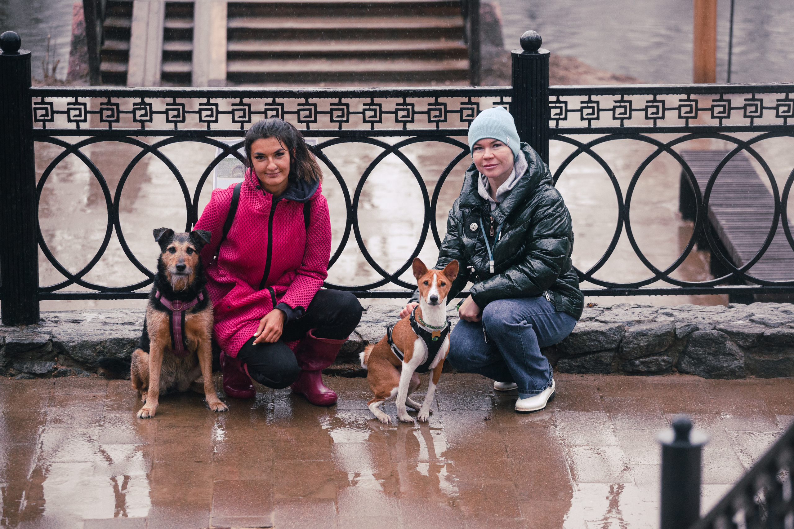 Лиза и Бренда. Фотограф-анималист Татьяна Степанова