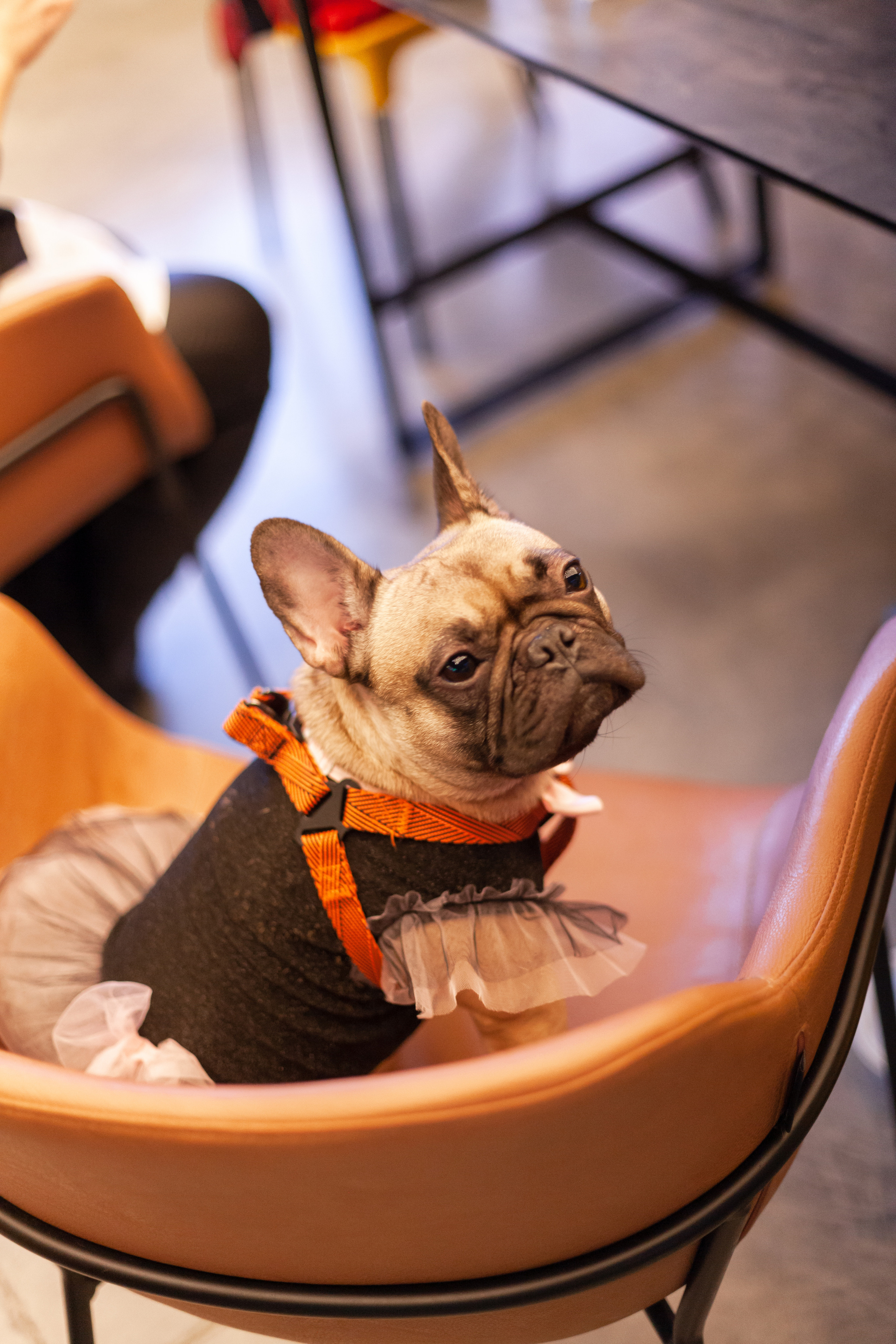 Бульелка 2022. Фотограф-анималист Татьяна Степанова