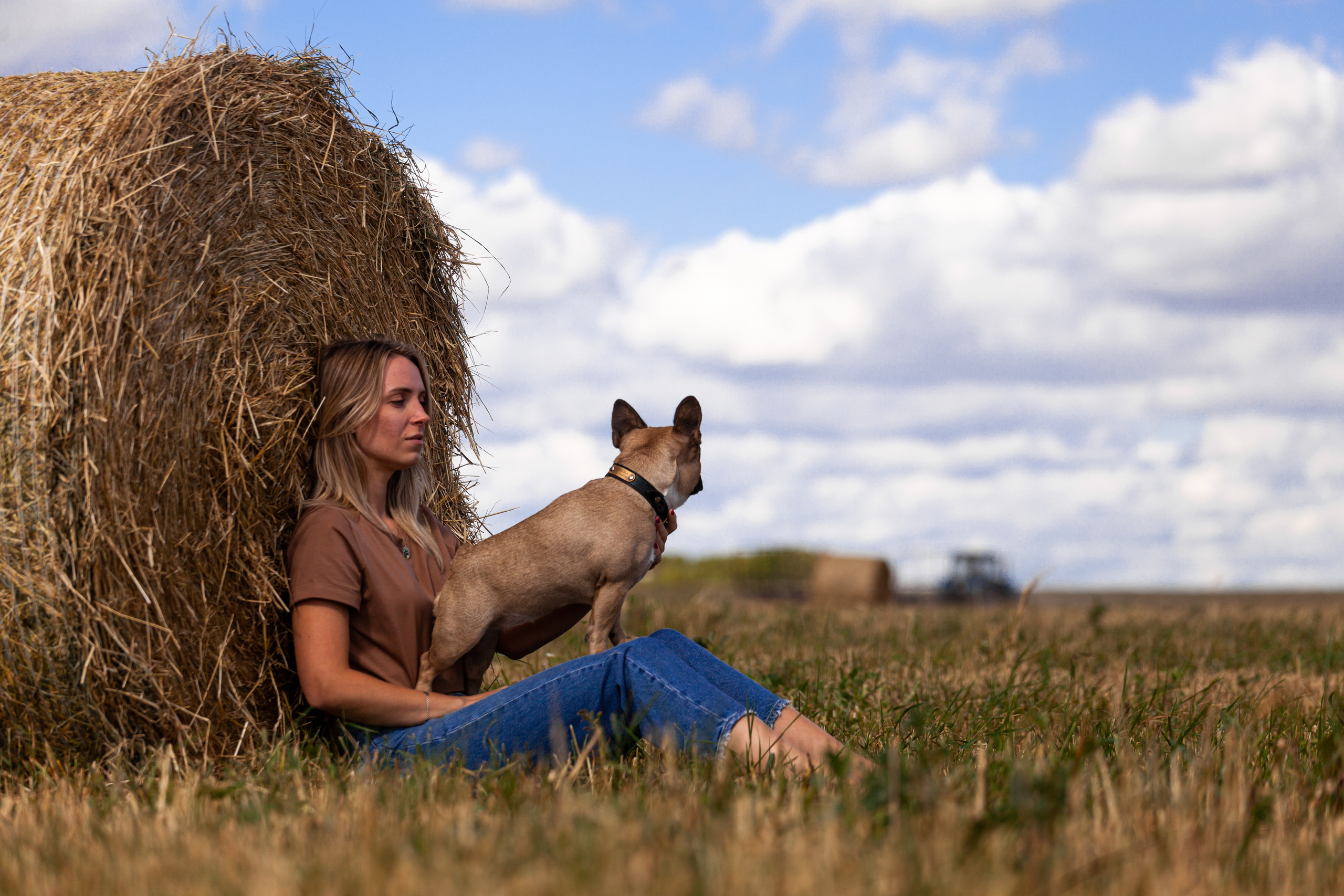 Коломна, стога и подсолнухи. Фотограф-анималист Татьяна Степанова
