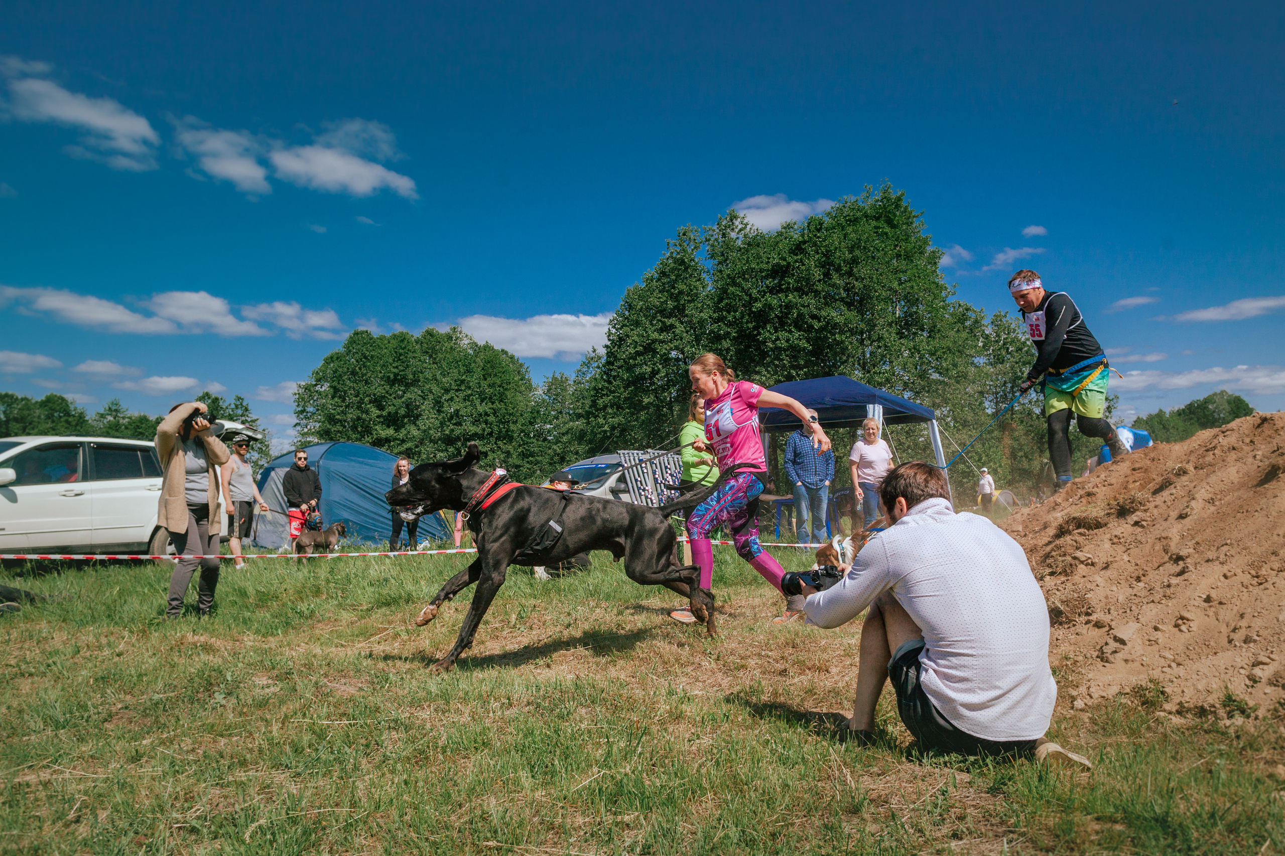 Хвостатый Драйв 11.06.2023. Фотограф-анималист Татьяна Степанова