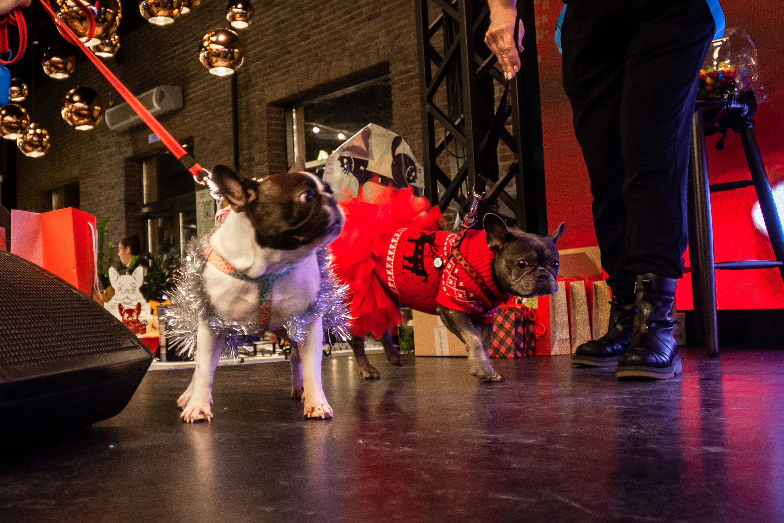 Бульелка 2022. Фотограф-анималист Татьяна Степанова