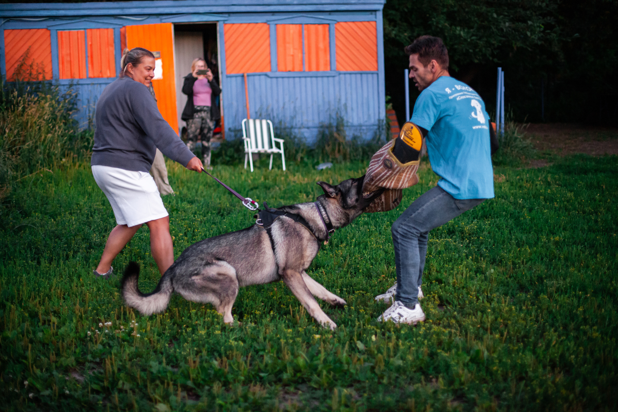 Занятие ЗКС+Выборка 2022. Фотограф-анималист Татьяна Степанова