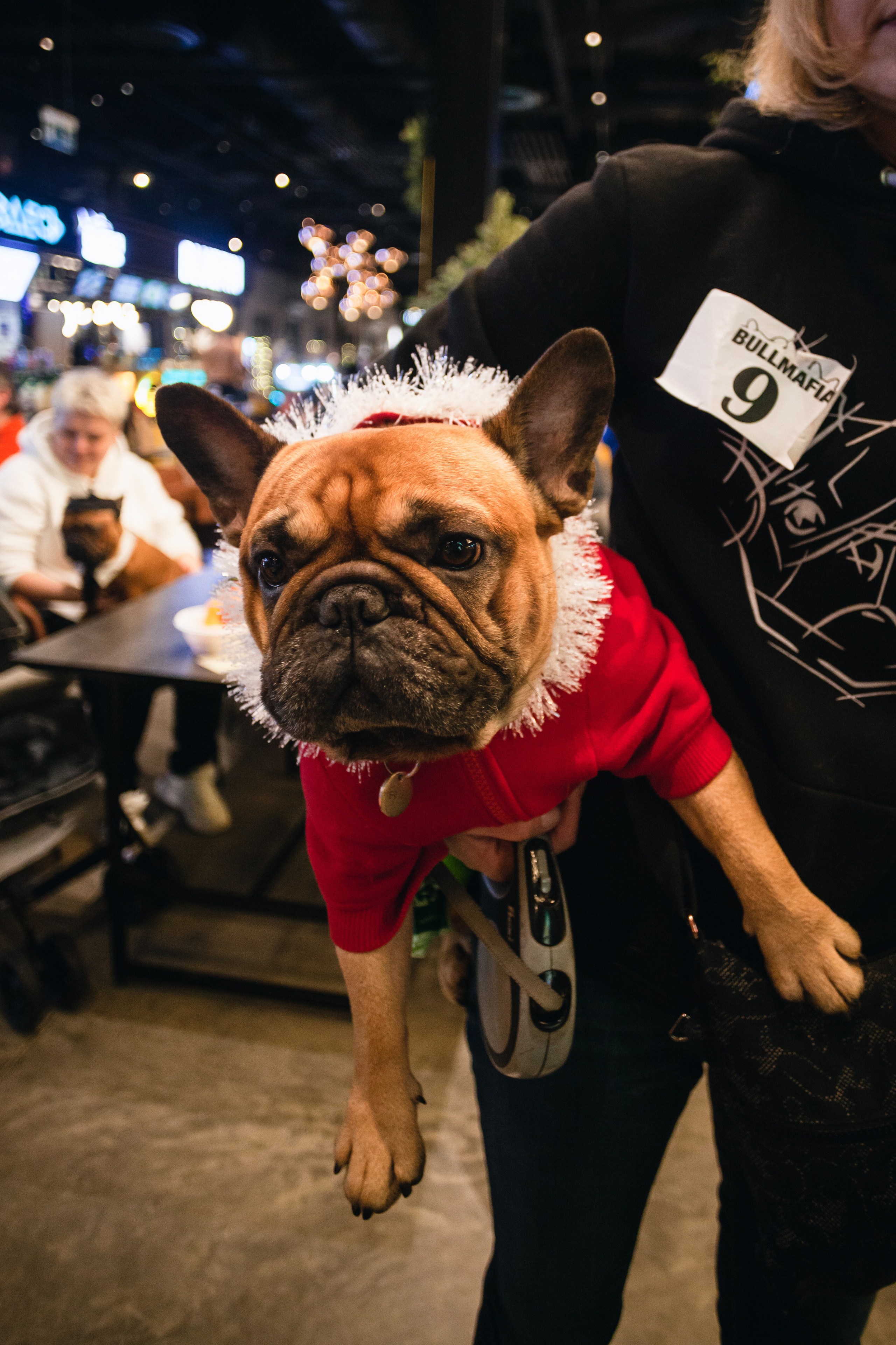 Бульелка 2022. Фотограф-анималист Татьяна Степанова