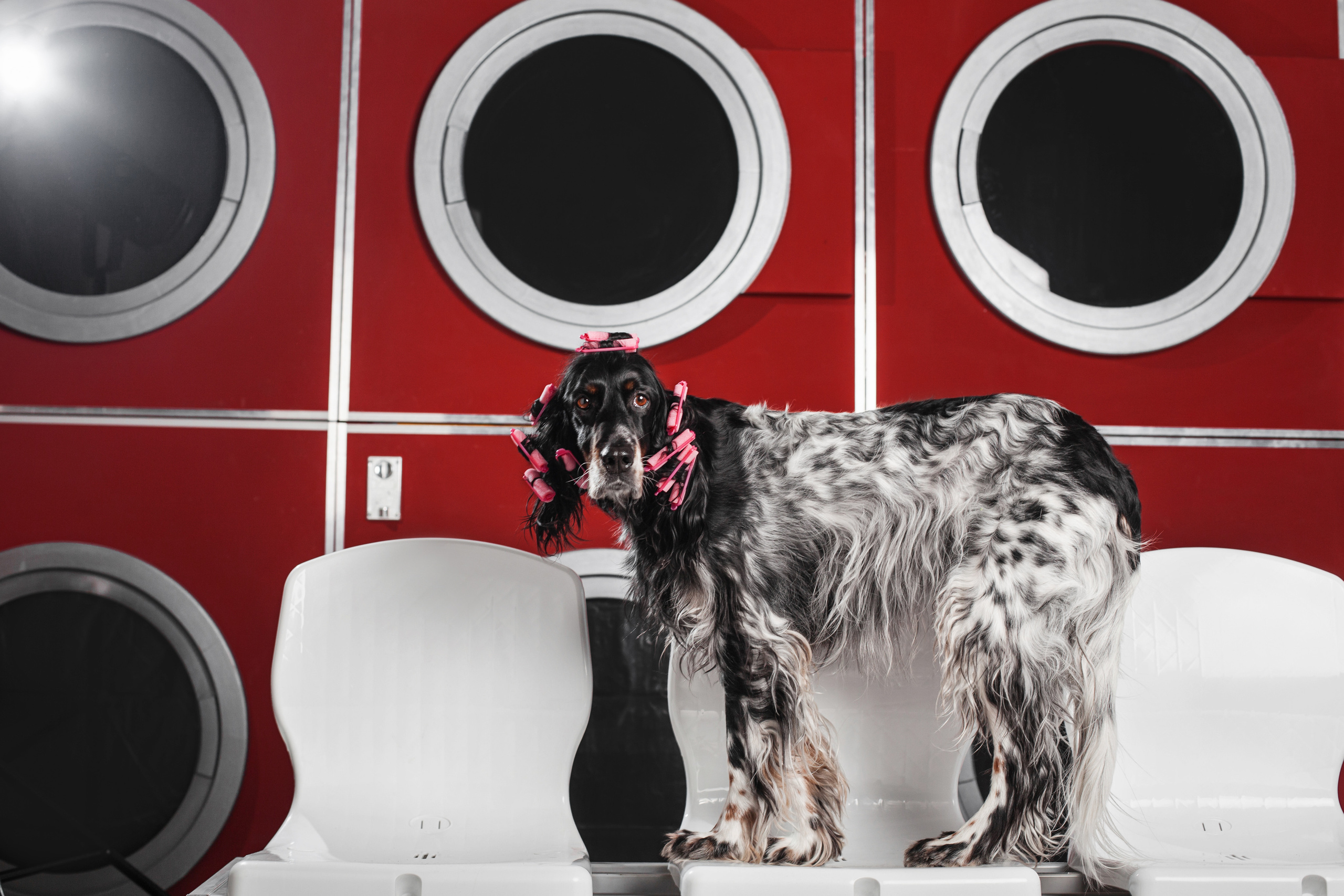 Света и Богдана. Фотограф-анималист Татьяна Степанова