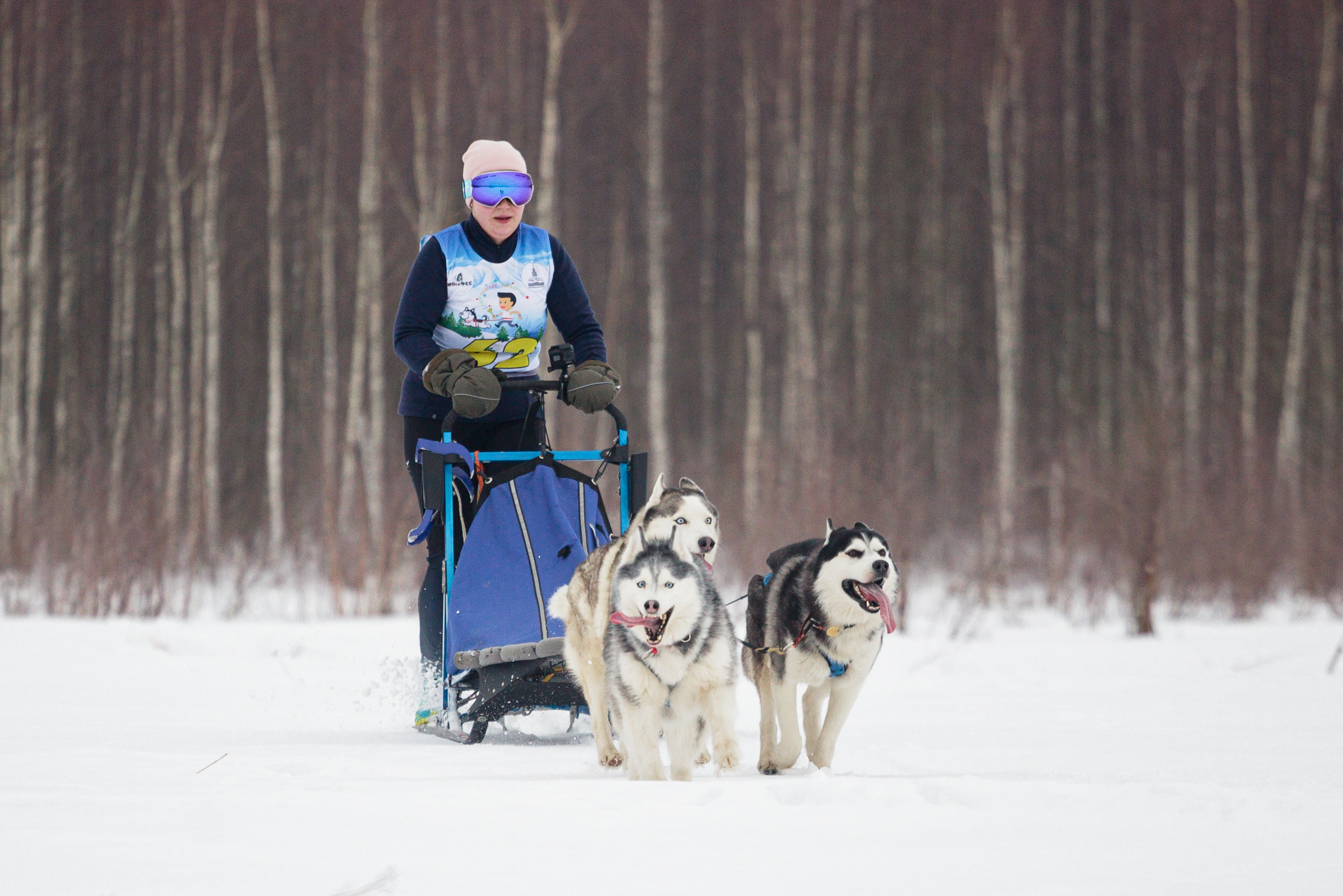 Холодные игры 28 февраля 2022. Фотограф-анималист Татьяна Степанова