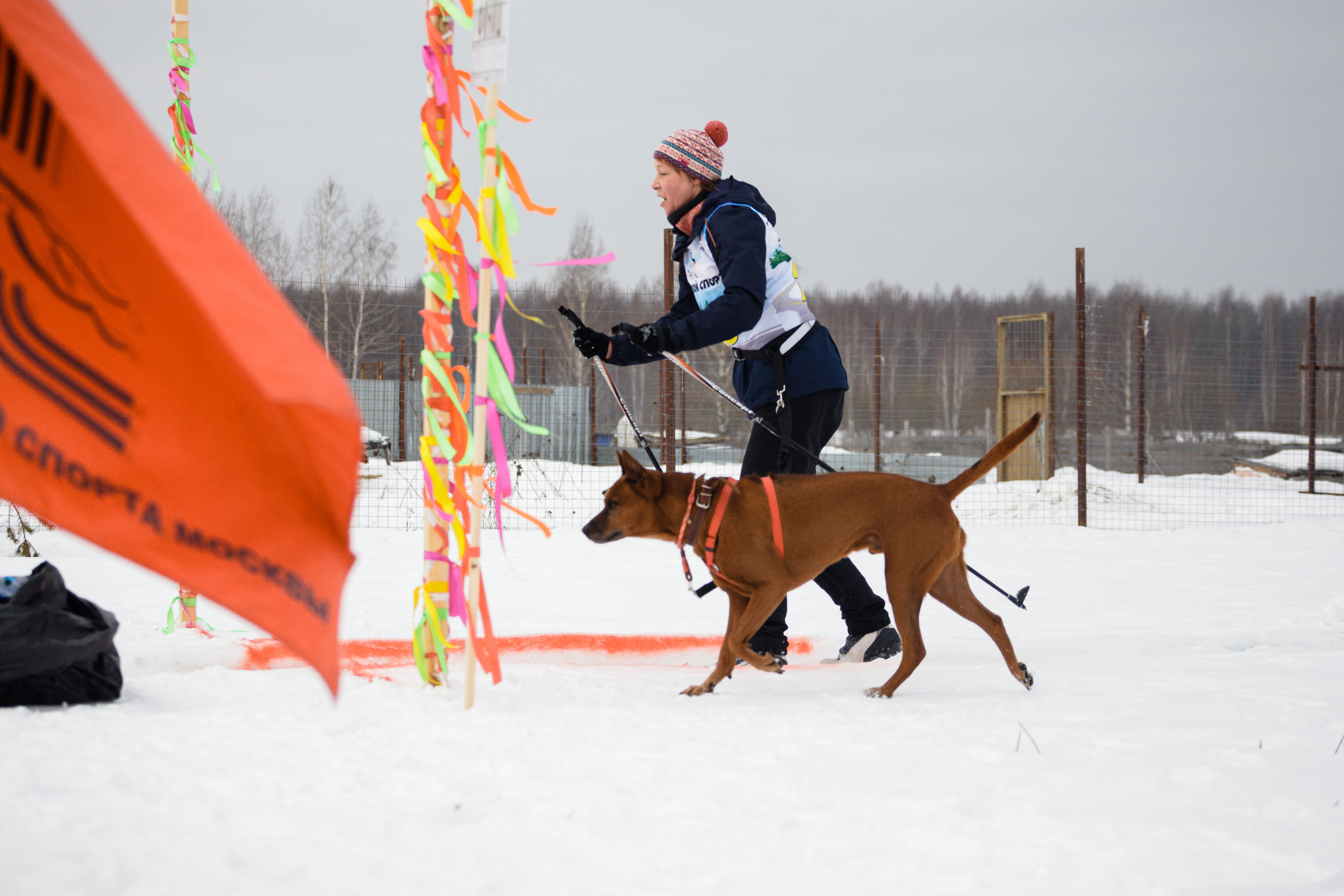 Холодные игры 28 февраля 2022. Фотограф-анималист Татьяна Степанова