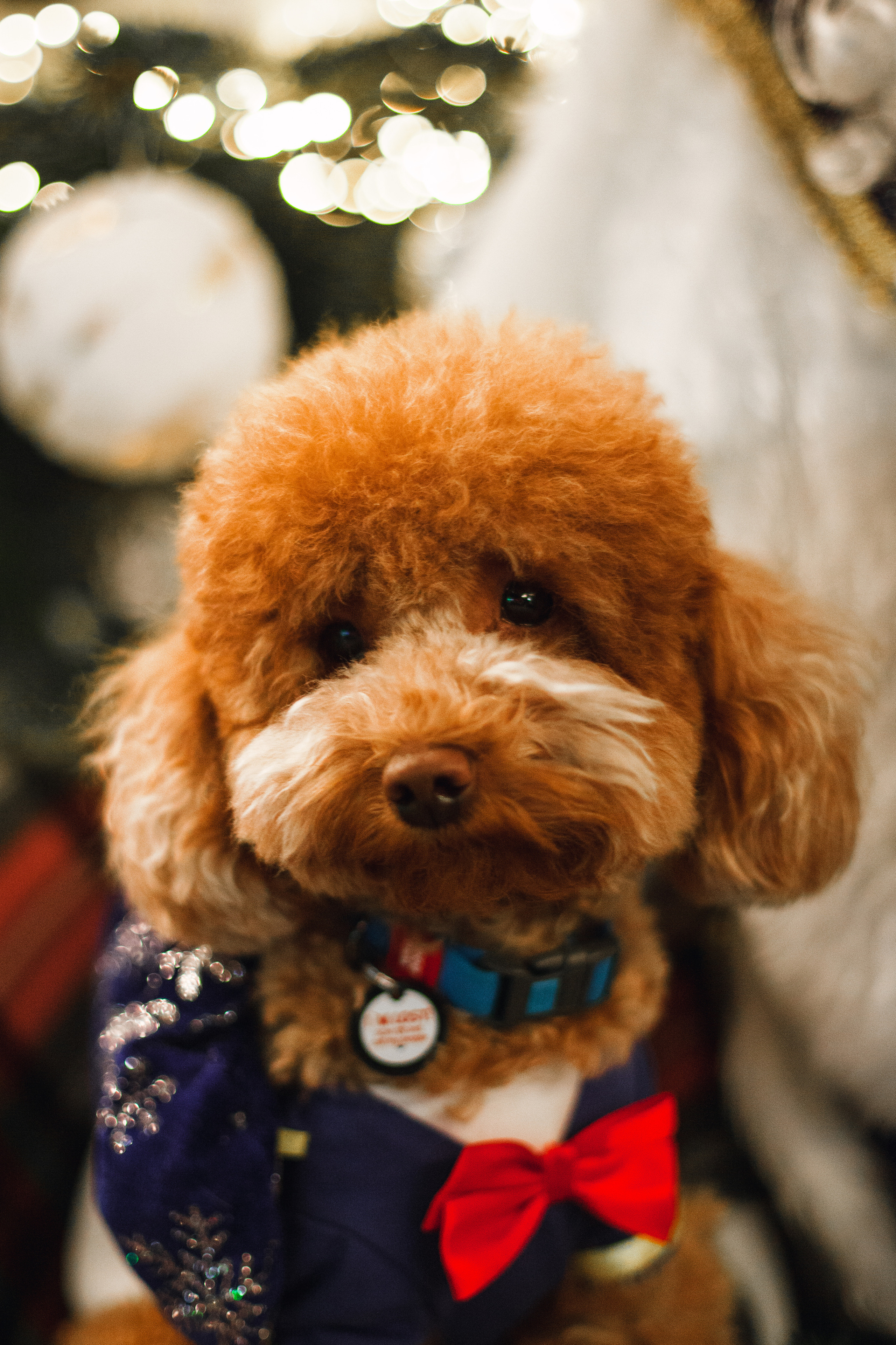 Бульелка 2022. Фотограф-анималист Татьяна Степанова