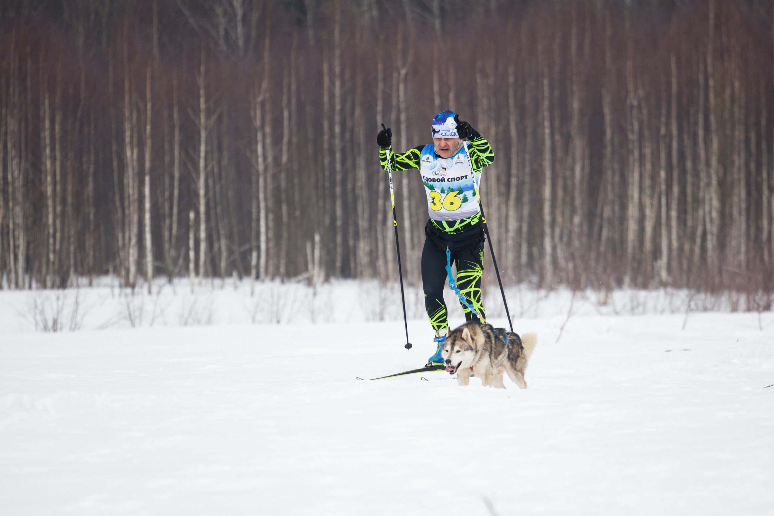 Холодные игры 28 февраля 2022. Фотограф-анималист Татьяна Степанова