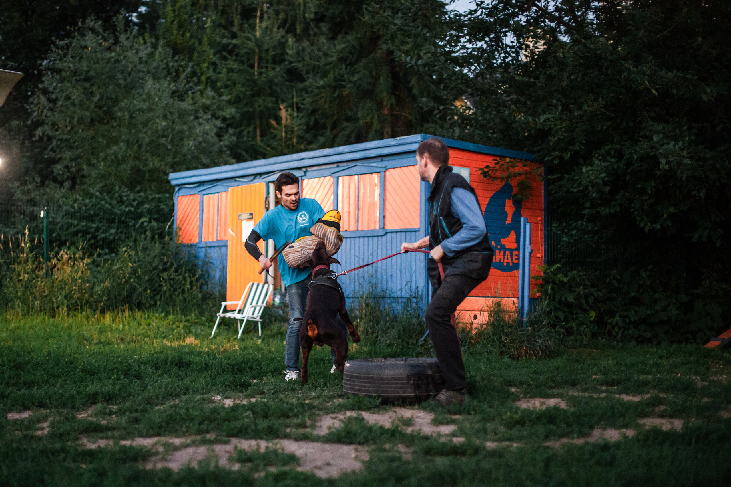 Занятие ЗКС+Выборка 2022. Фотограф-анималист Татьяна Степанова