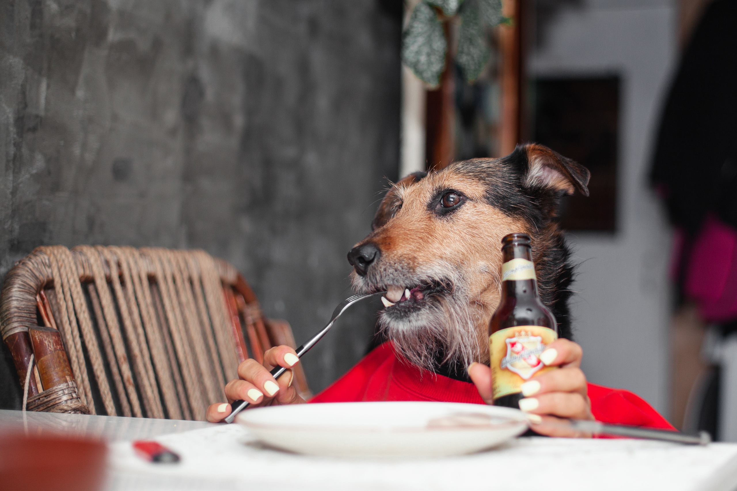 Лиза и Бренда. Фотограф-анималист Татьяна Степанова