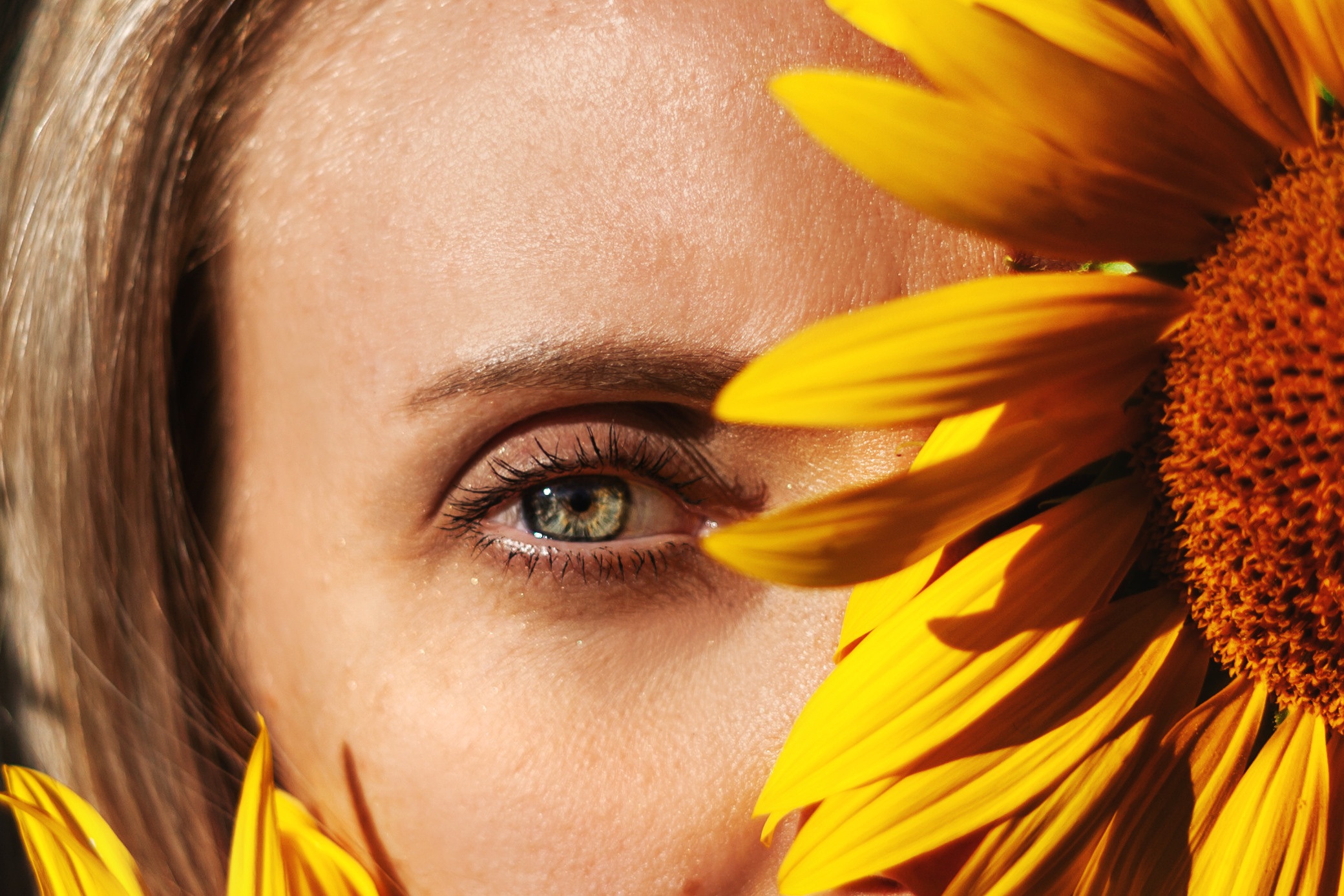 Коломна, стога и подсолнухи. Фотограф-анималист Татьяна Степанова