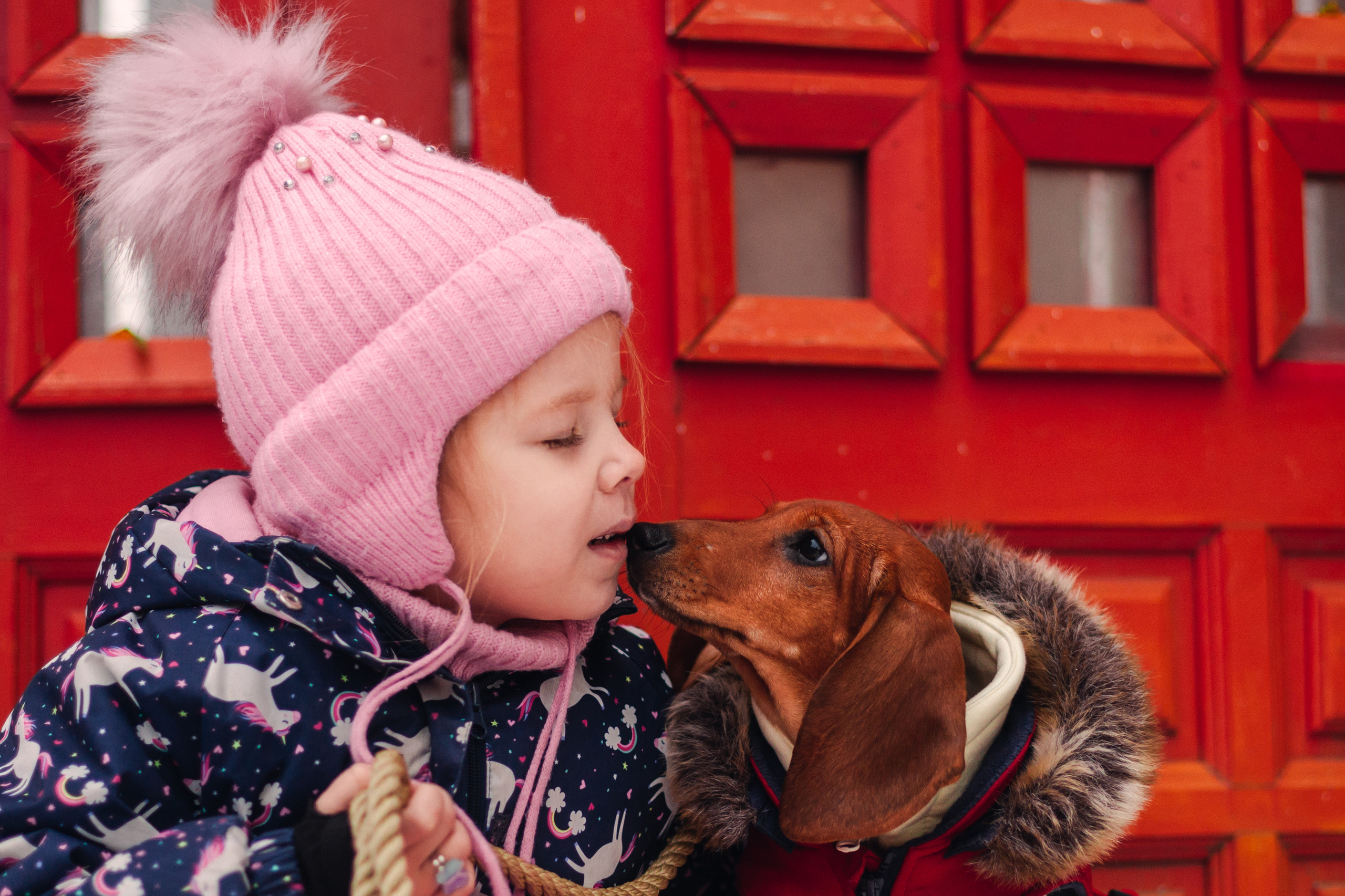 Новогодняя серия с ретромашиной. Фотограф-анималист Татьяна Степанова