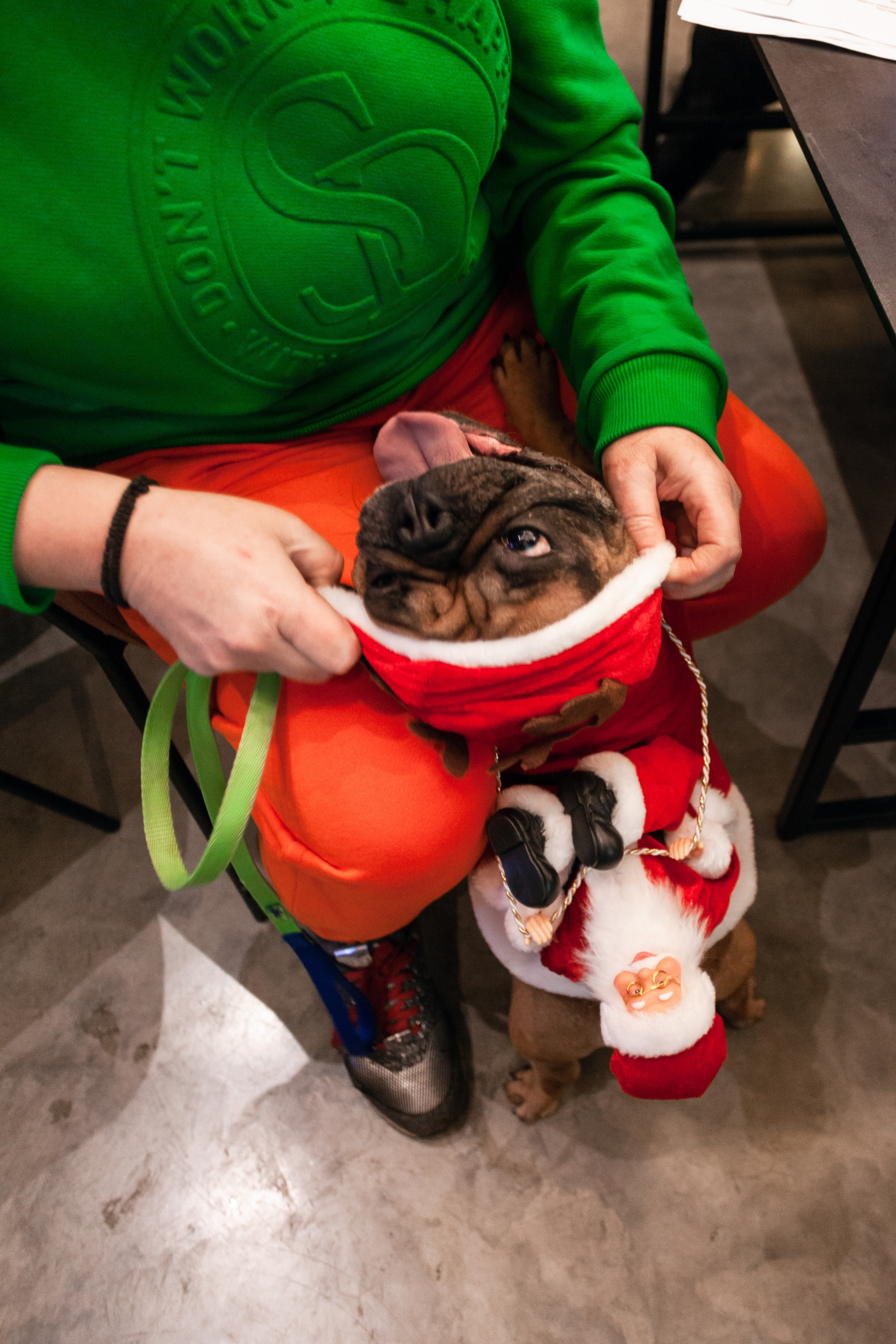 Бульелка 2022. Фотограф-анималист Татьяна Степанова