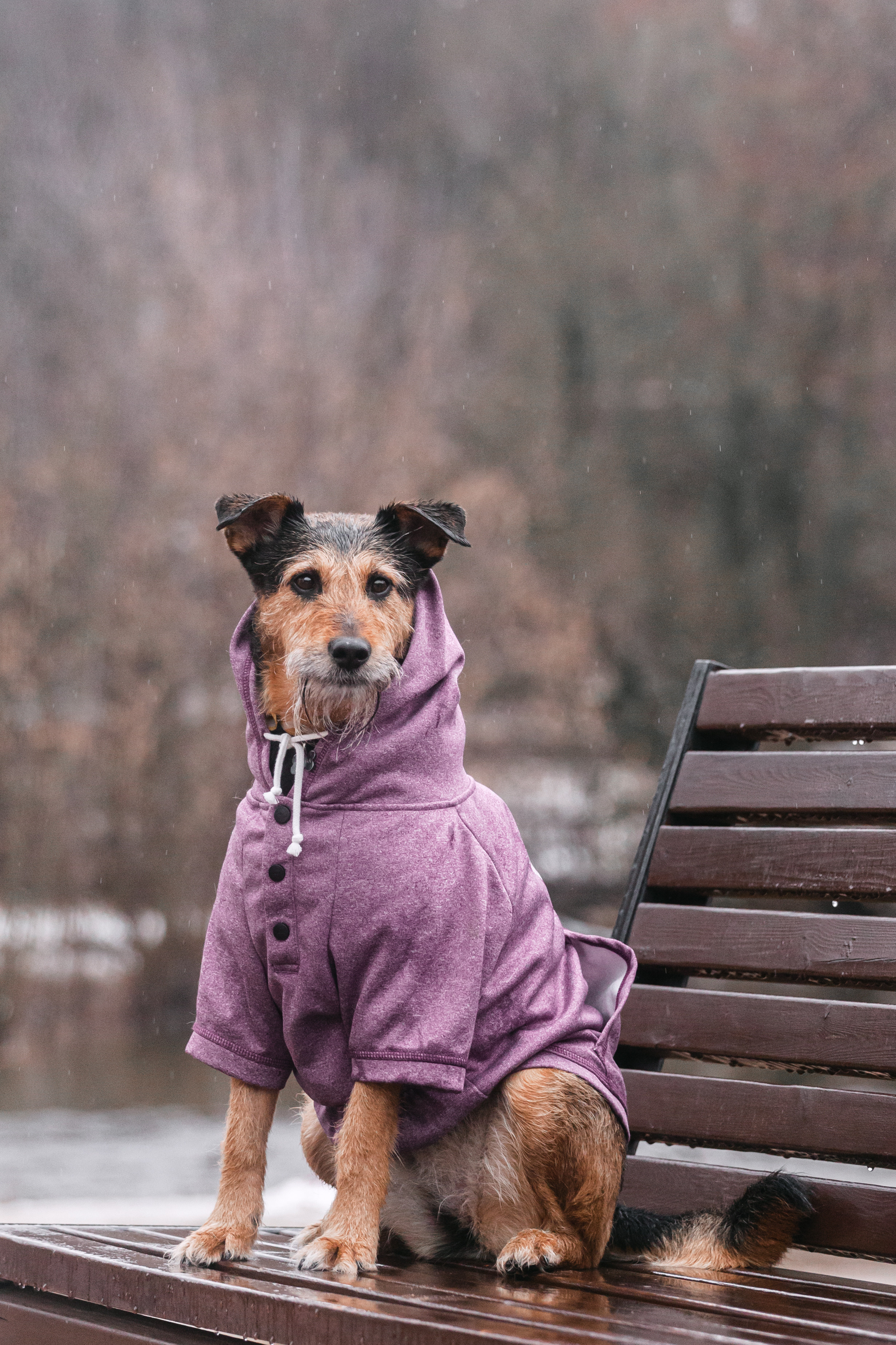 Лиза и Бренда. Фотограф-анималист Татьяна Степанова