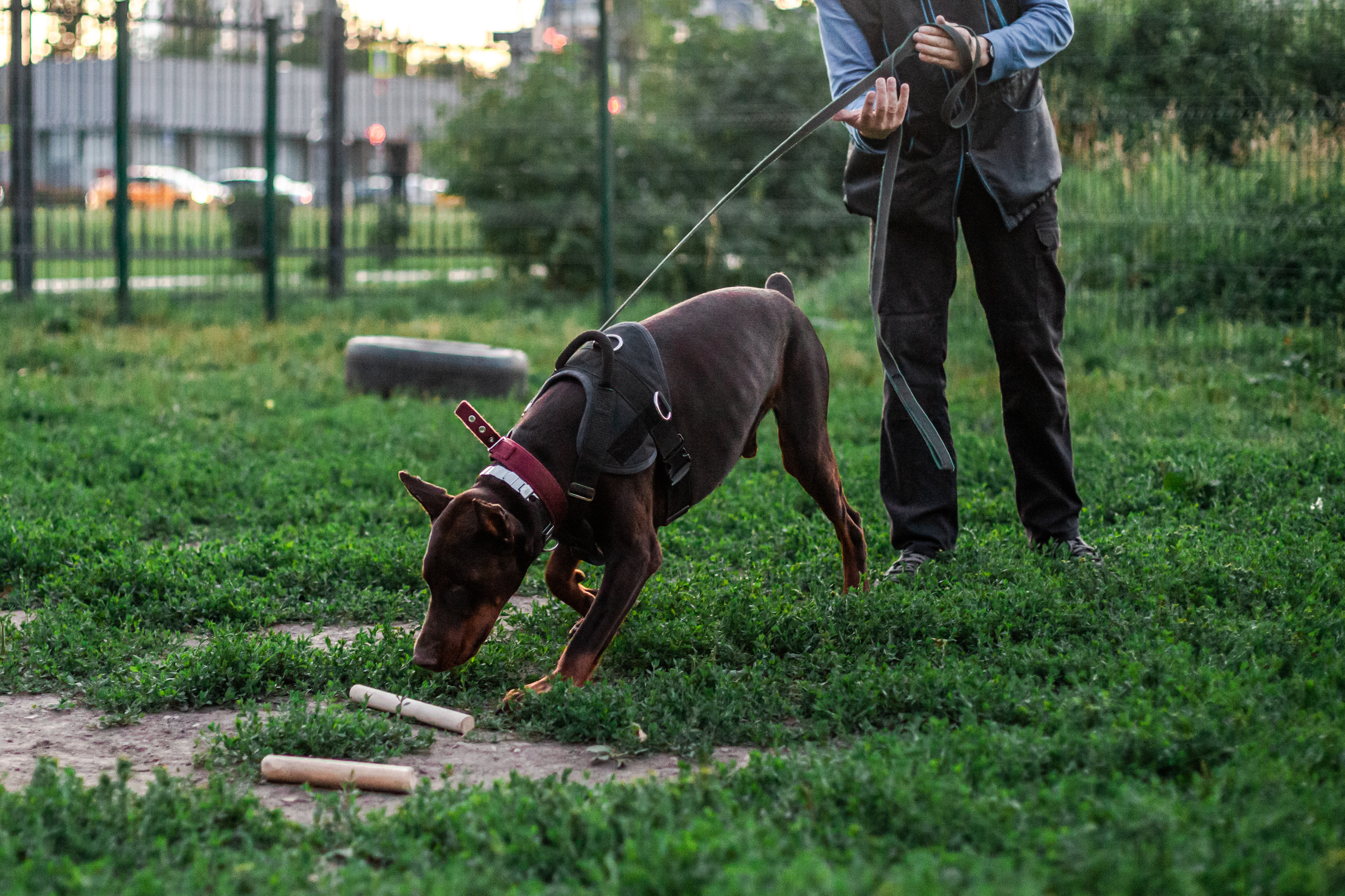 Занятие ЗКС+Выборка 2022. Фотограф-анималист Татьяна Степанова