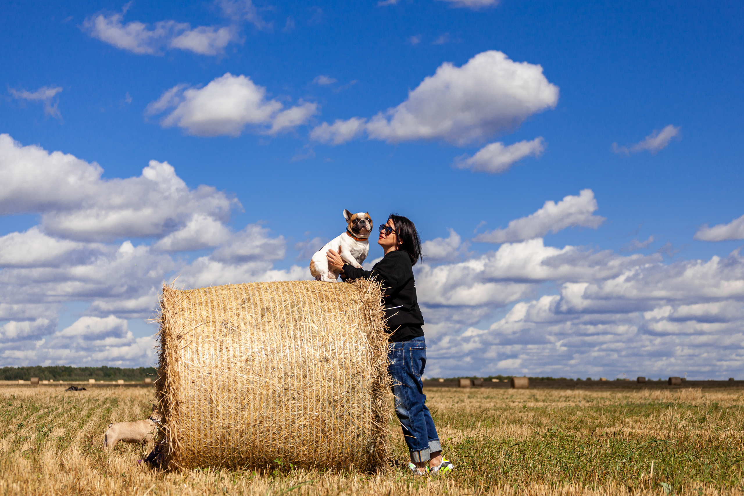 Коломна, стога и подсолнухи. Фотограф-анималист Татьяна Степанова