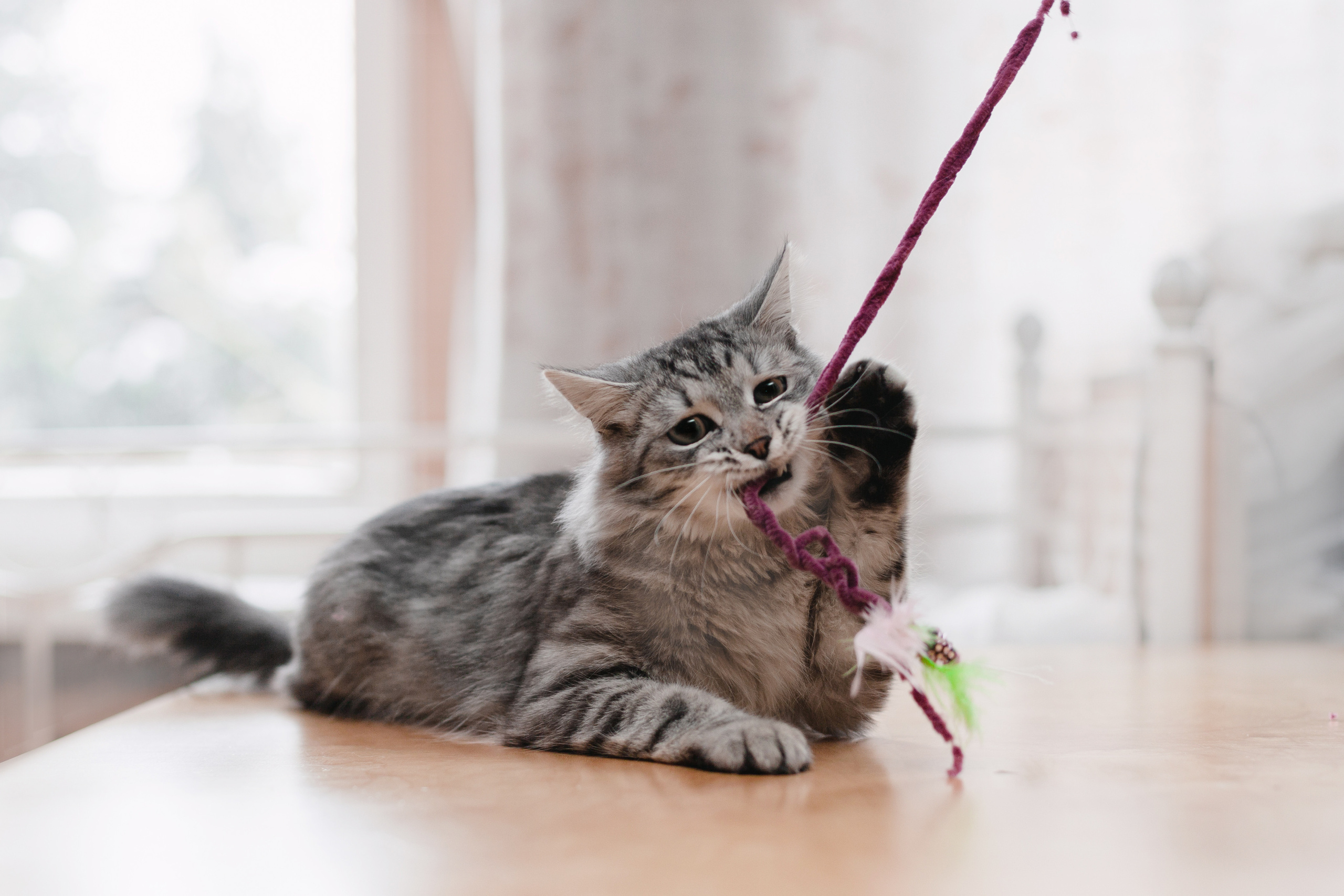 Космос 2023. Фотограф-анималист Татьяна Степанова