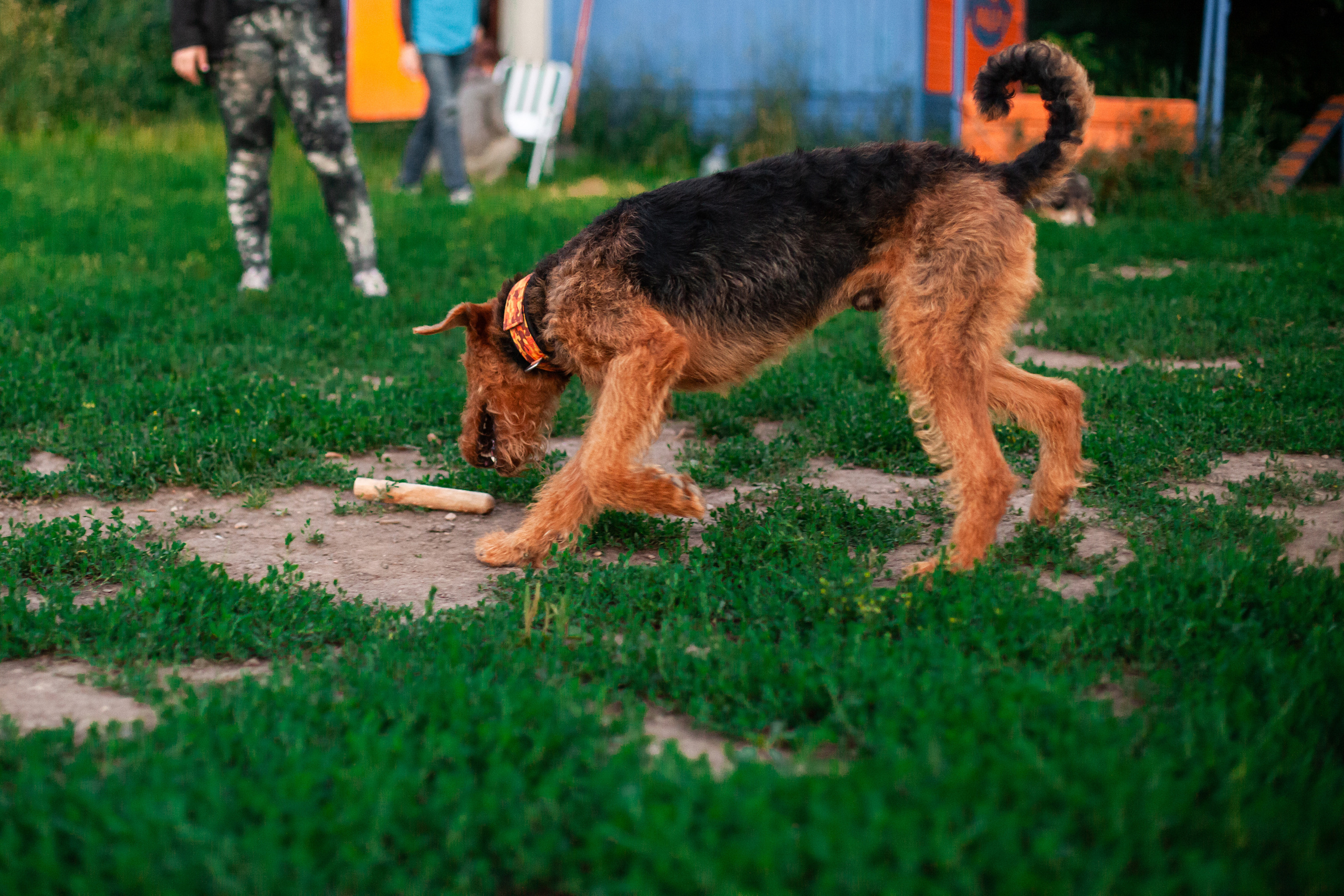 Занятие ЗКС+Выборка 2022. Фотограф-анималист Татьяна Степанова