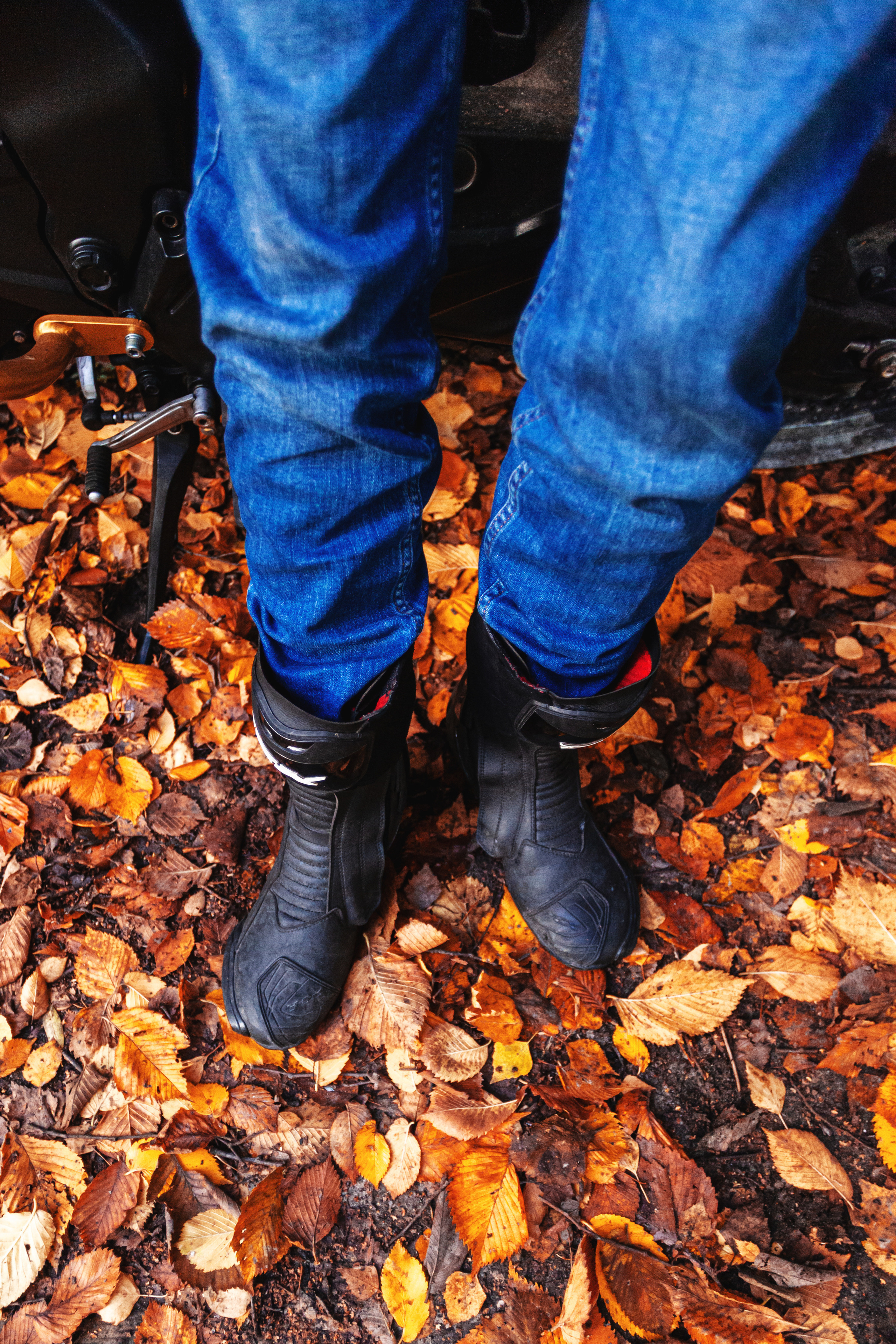 Кристина и Олег в Алешкинском лесопарке. Фотограф-анималист Татьяна Степанова
