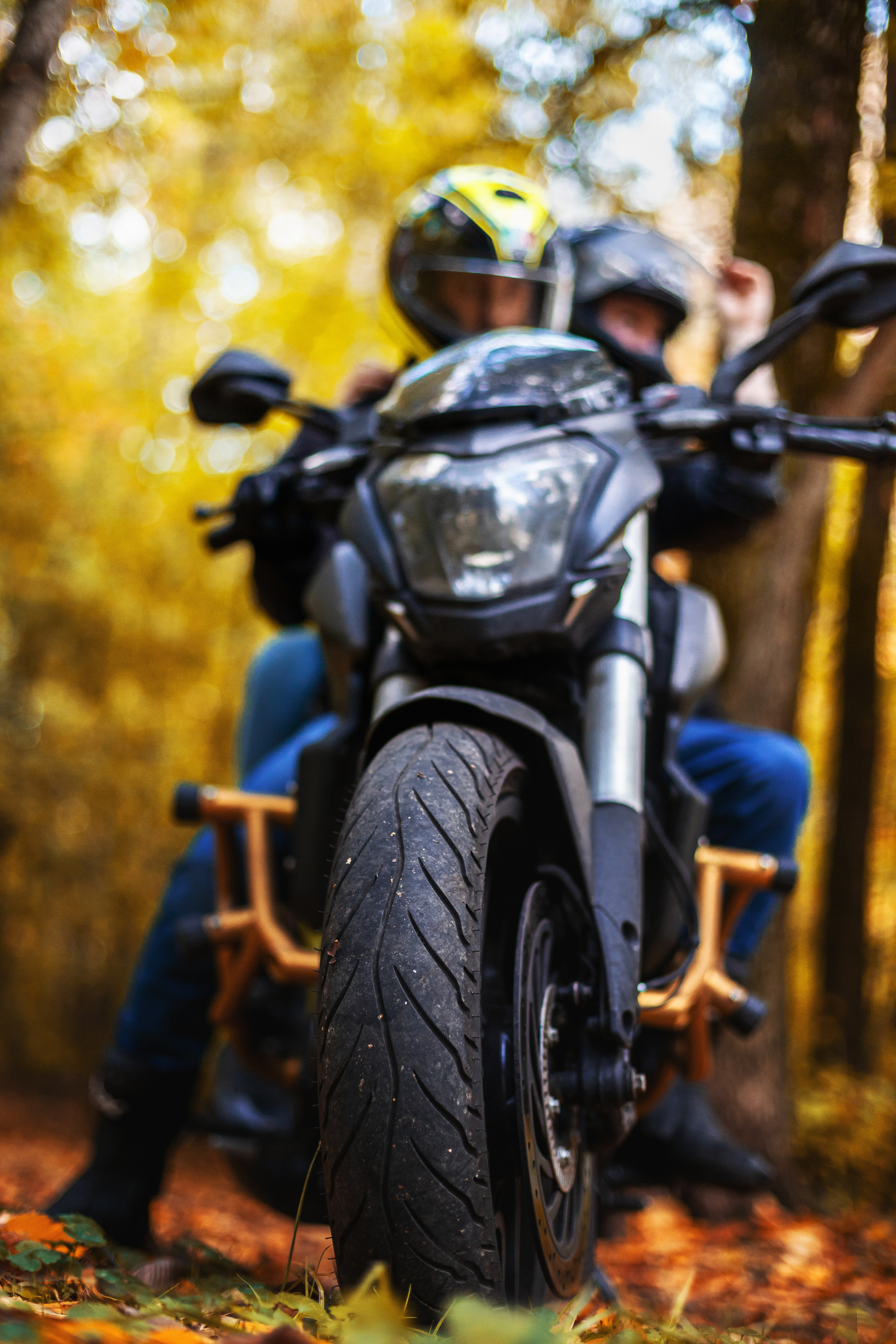 Кристина и Олег в Алешкинском лесопарке. Фотограф-анималист Татьяна Степанова