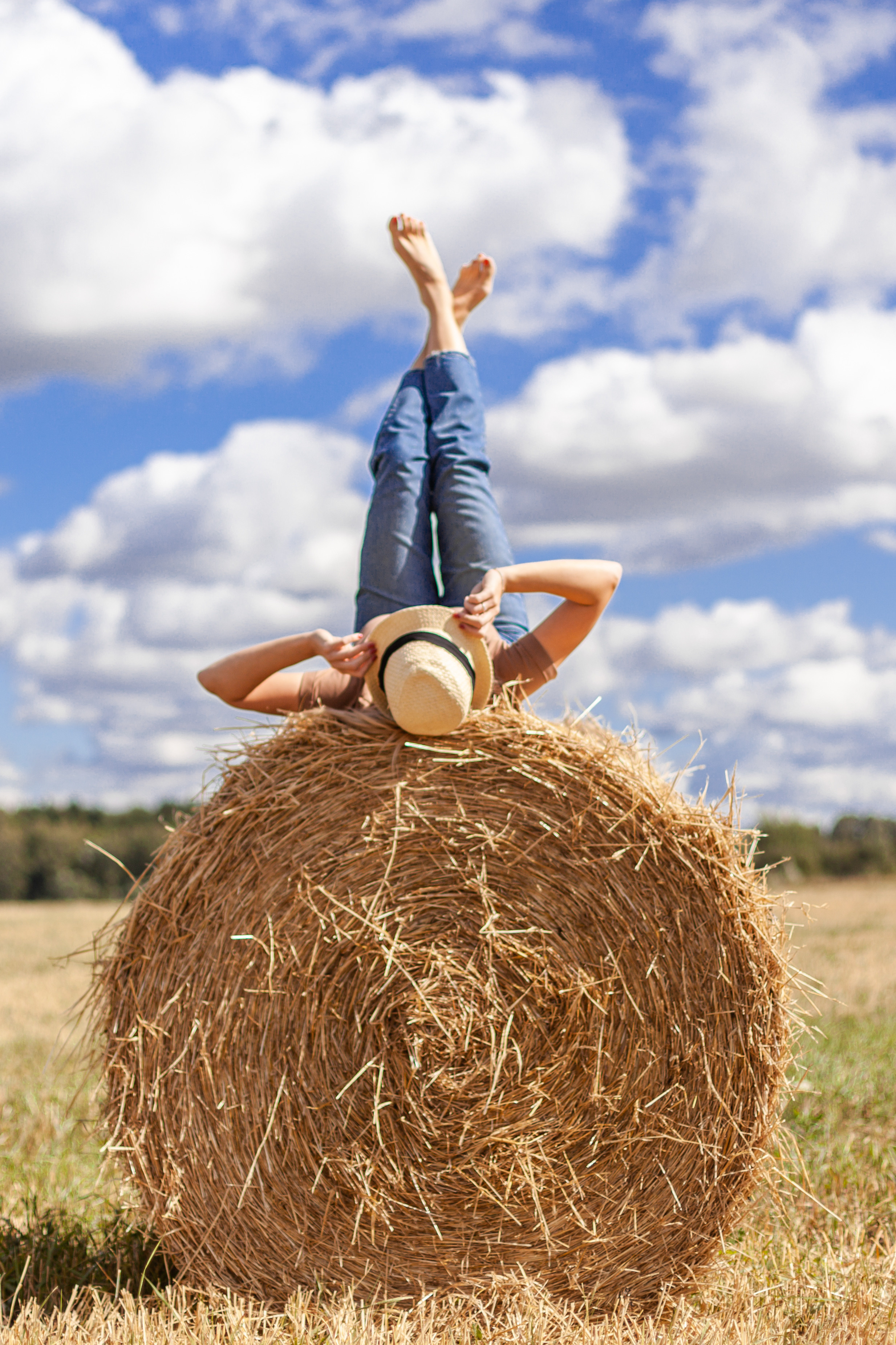 Коломна, стога и подсолнухи. Фотограф-анималист Татьяна Степанова