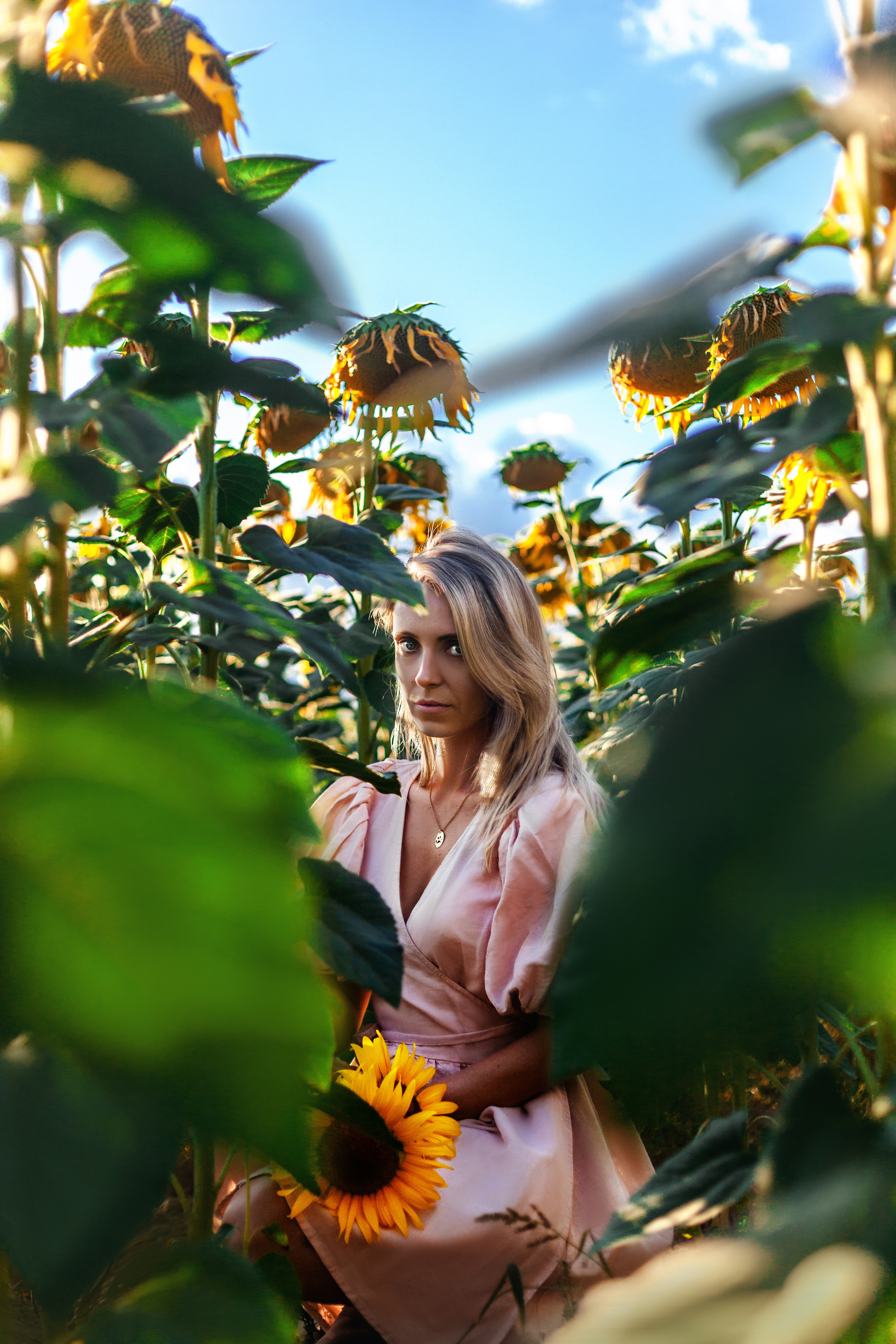 Коломна, стога и подсолнухи. Фотограф-анималист Татьяна Степанова